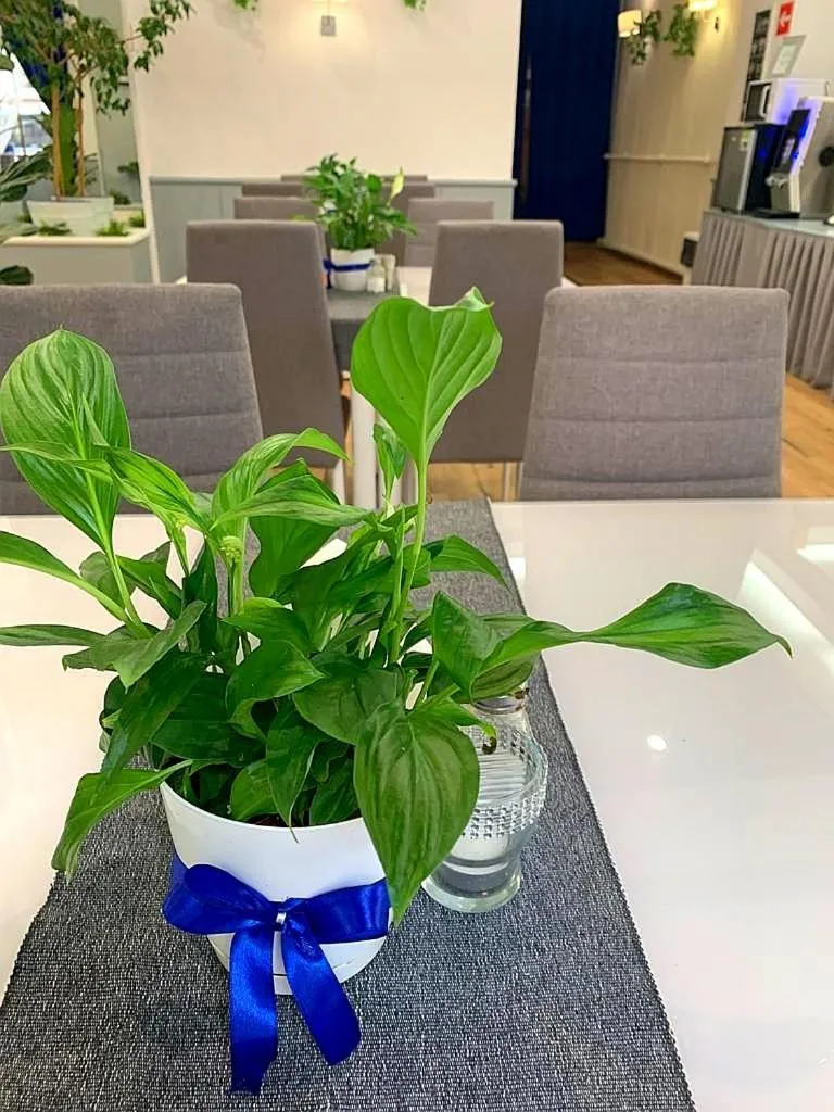 Restaurant/places to eat in Great Polonia Świdnica City Center