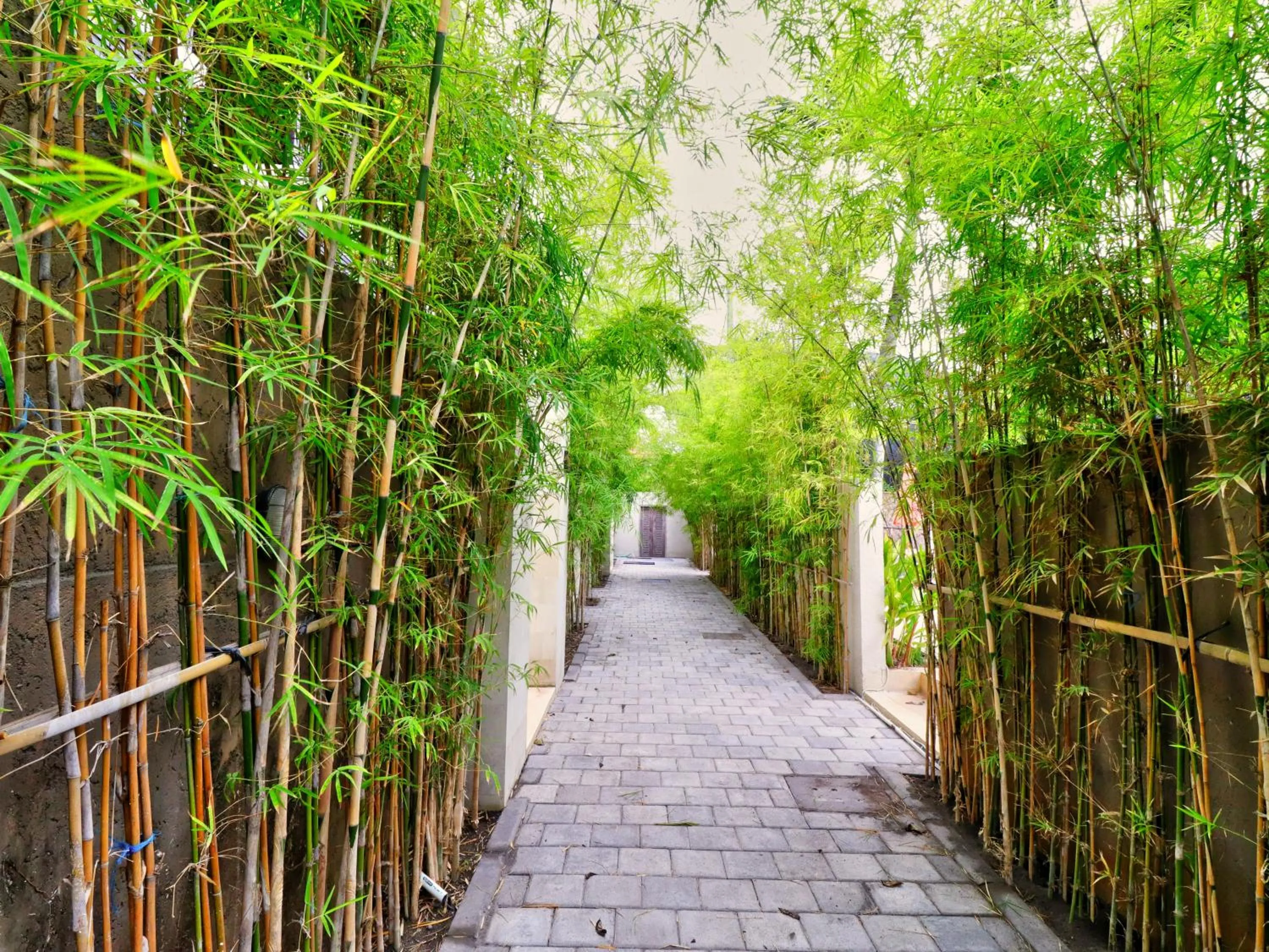 Sayang Sanur Terrace House