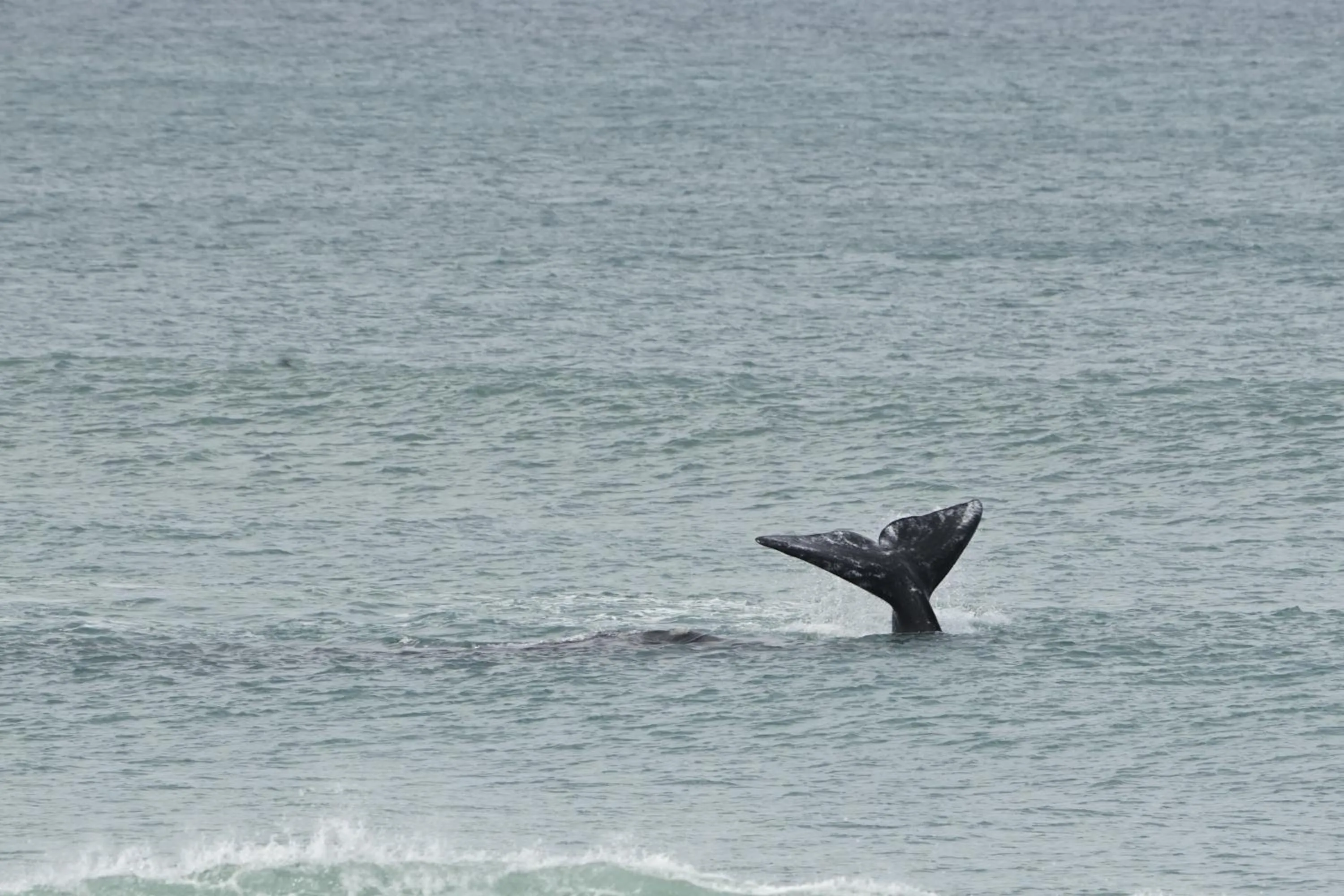 Natural landscape in Shaloha Guesthouse on Supertubes