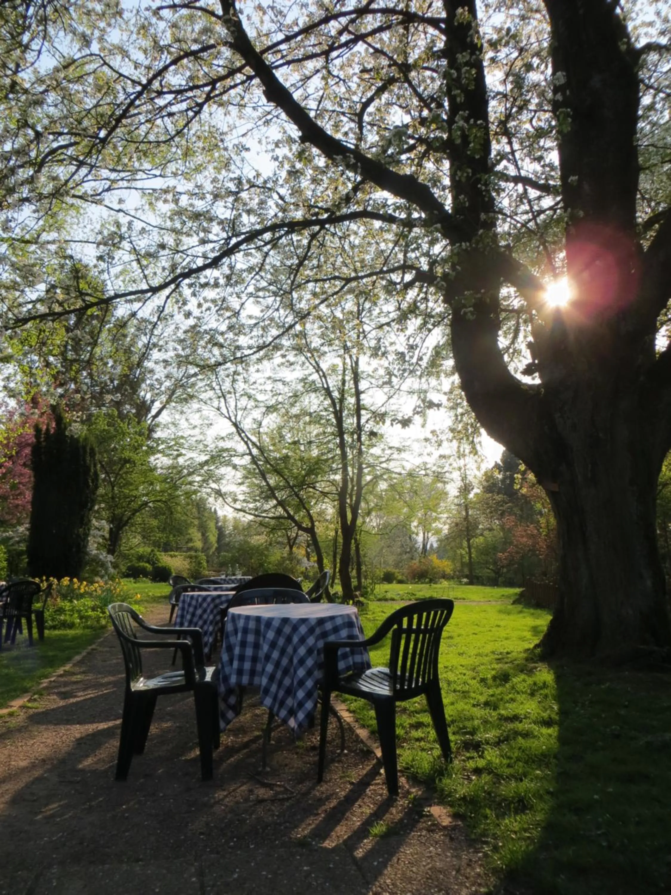 Spring in Hotel-Café "Schauinsland"