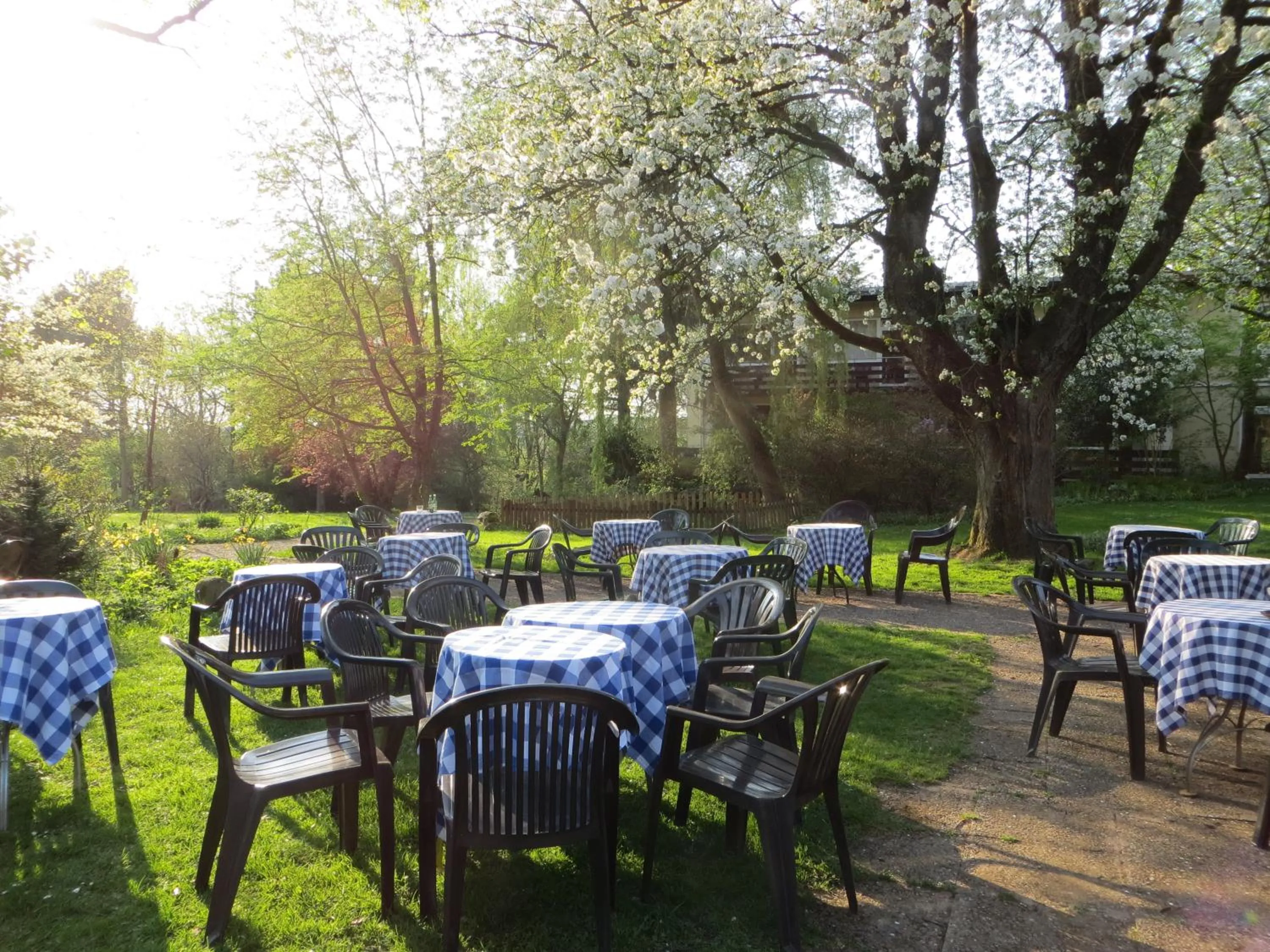 Garden in Hotel-Café "Schauinsland"