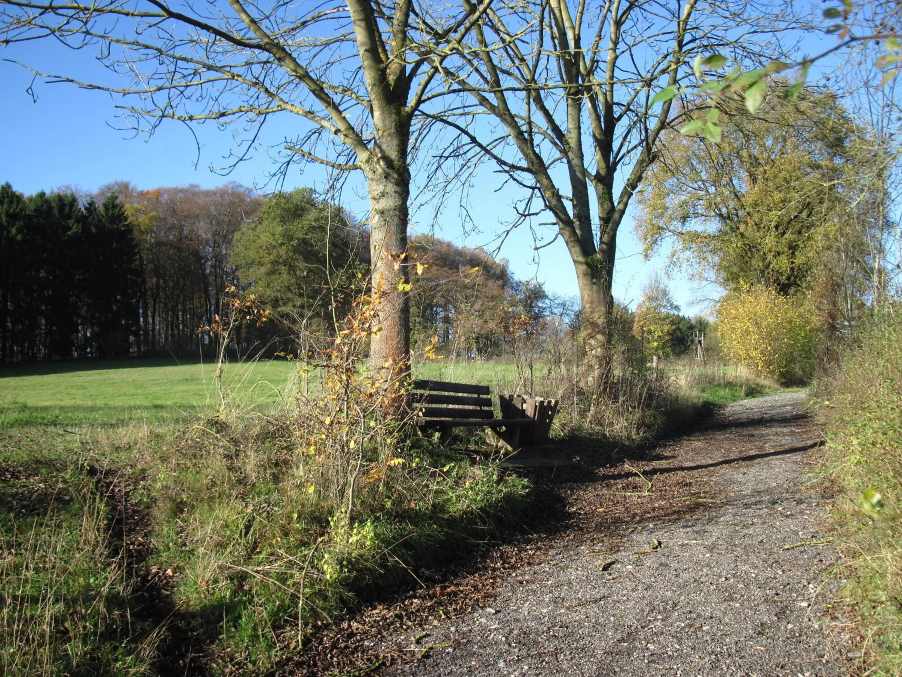 Day in Hotel-Café "Schauinsland"