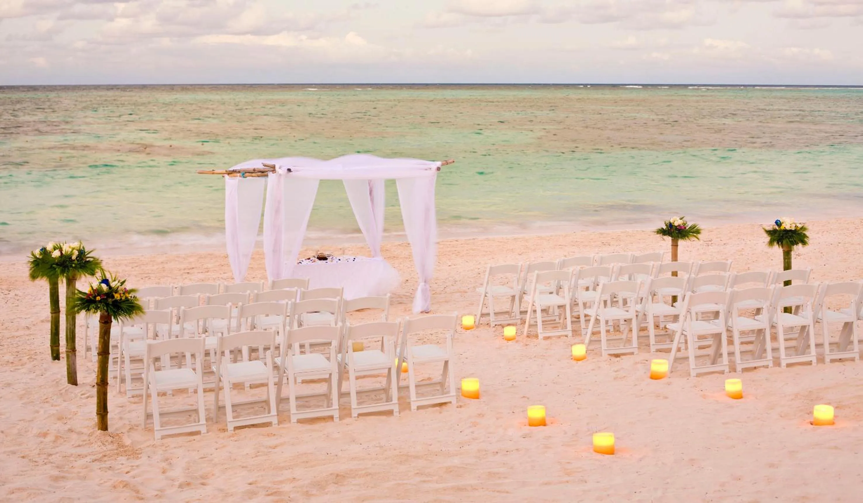 Natural landscape in Meliá Caribe Beach Resort-All Inclusive