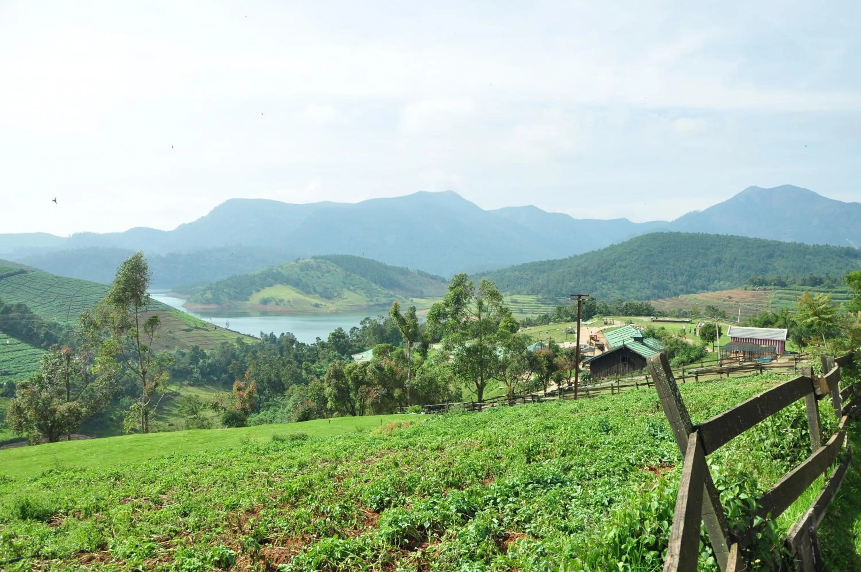 Day in Destiny - The Farm Resort