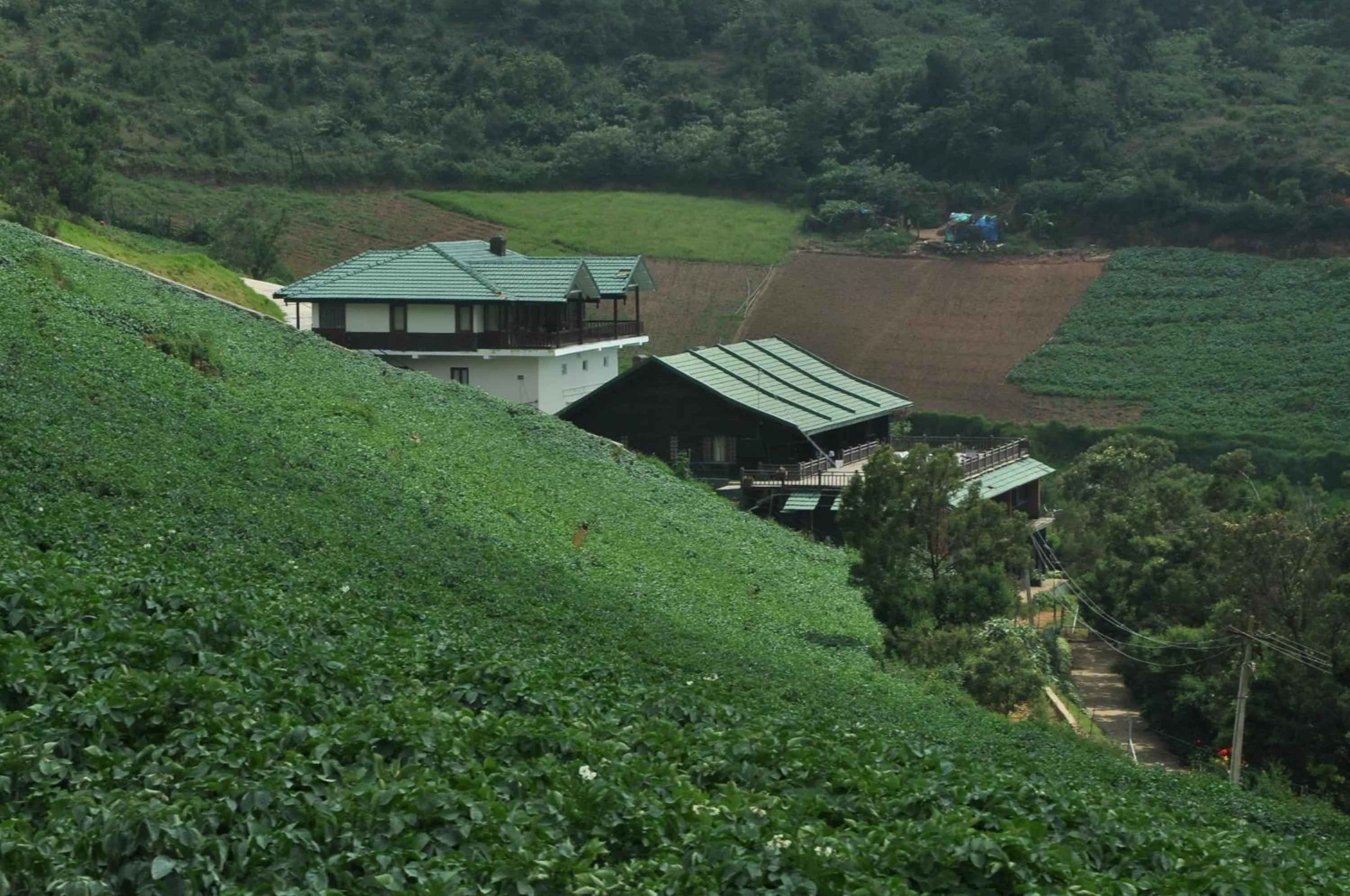 Property building in Destiny - The Farm Resort