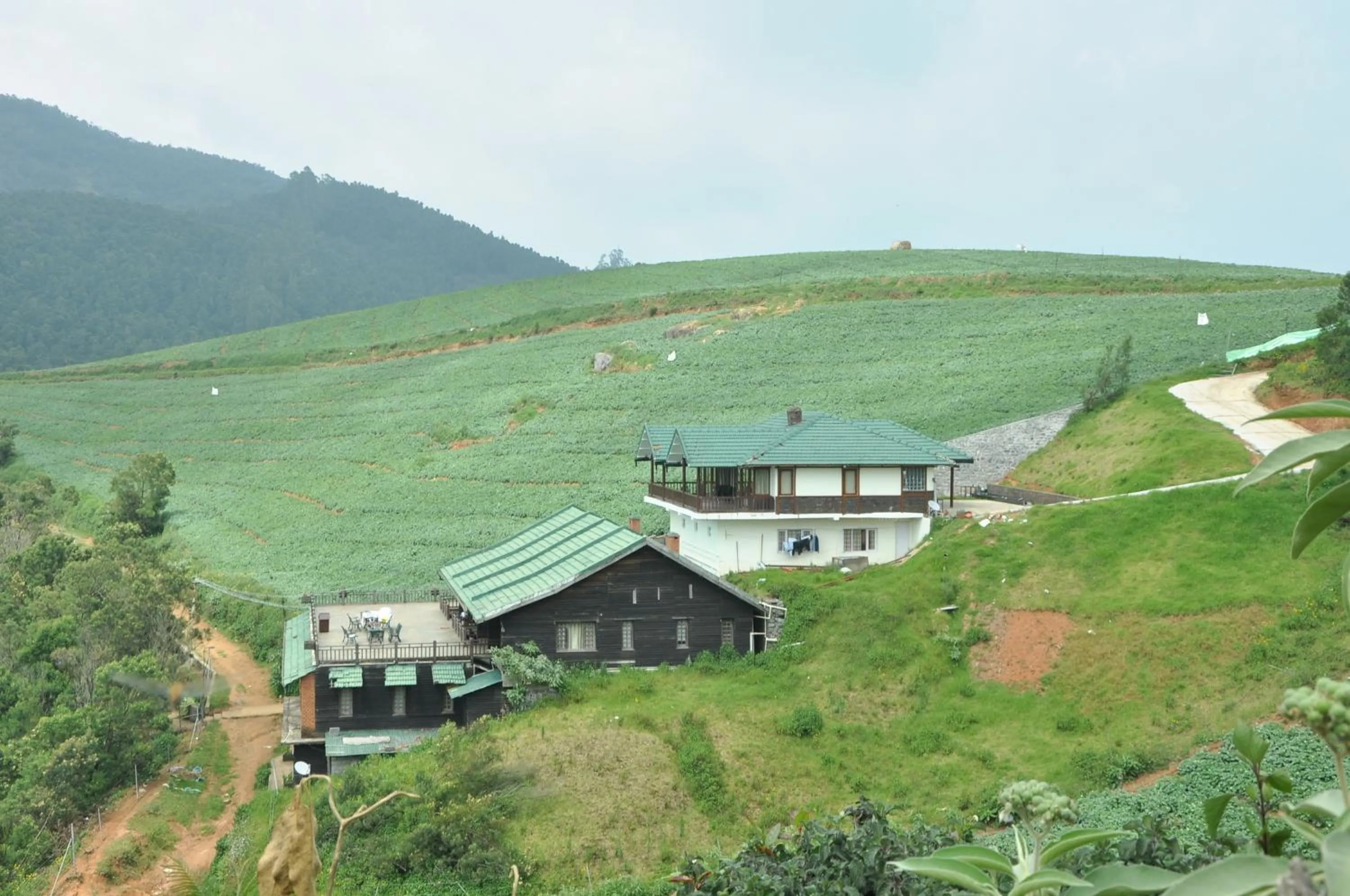 Property building in Destiny - The Farm Resort