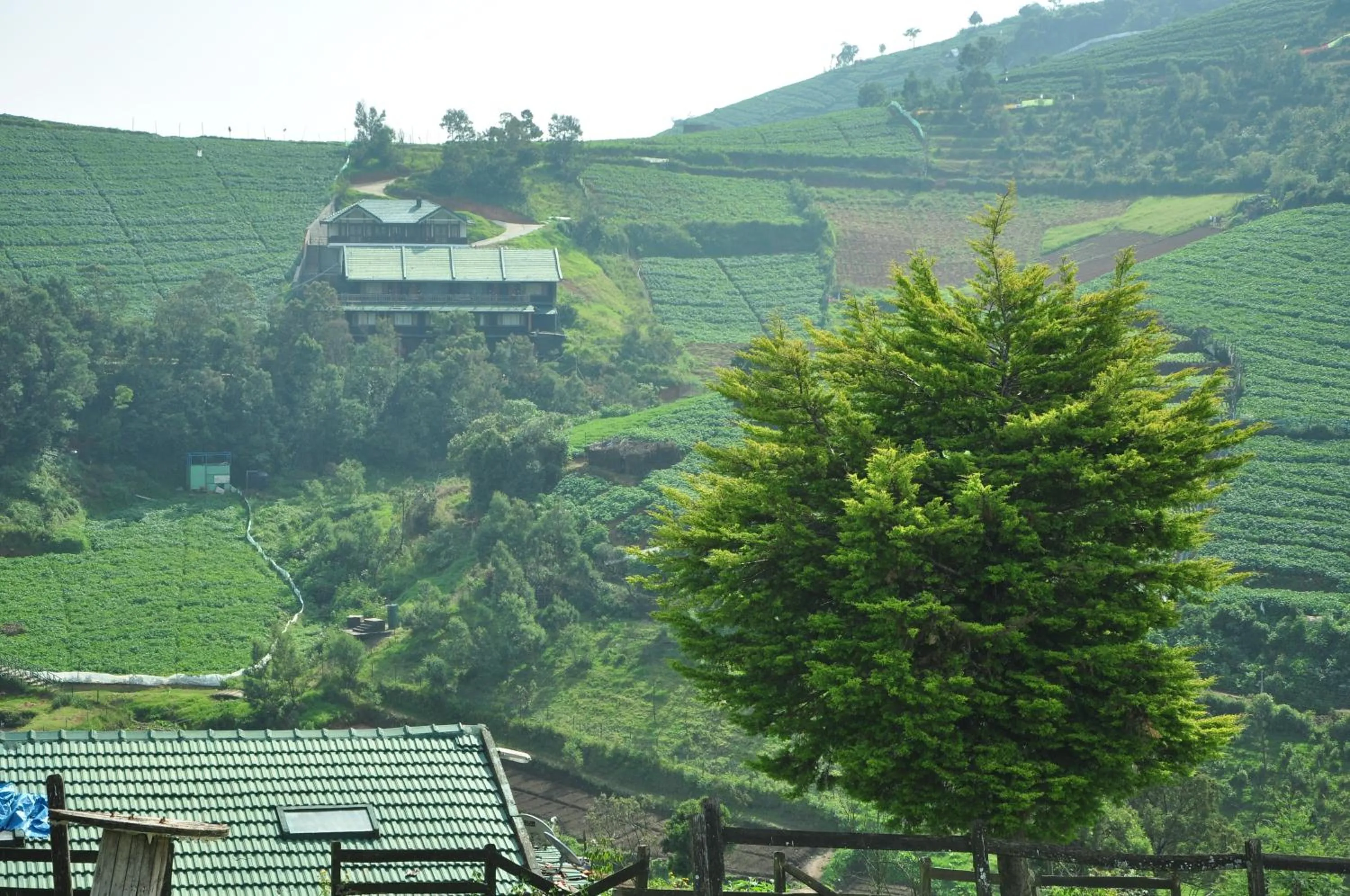 Day in Destiny - The Farm Resort