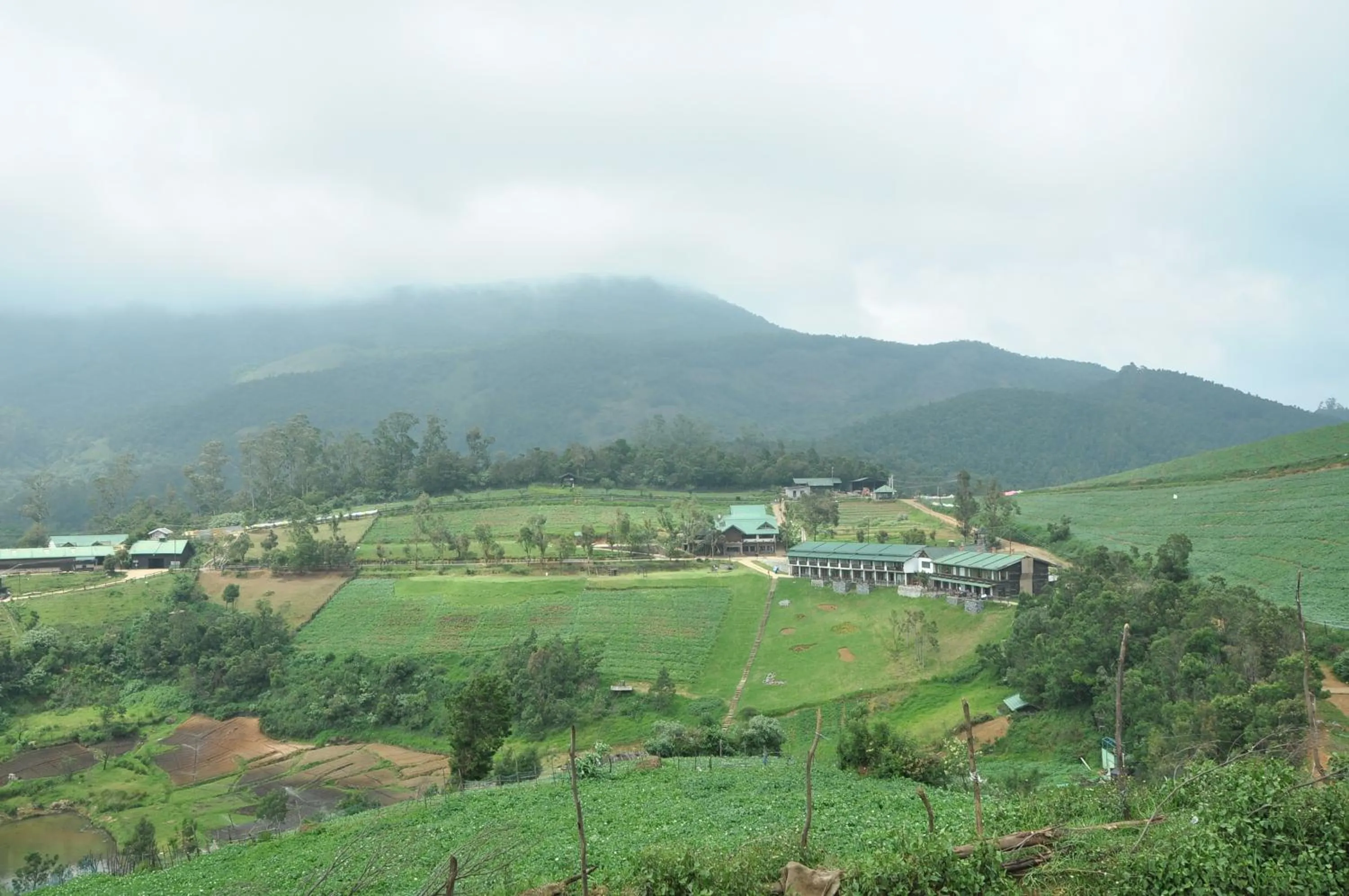 Natural landscape in Destiny - The Farm Resort