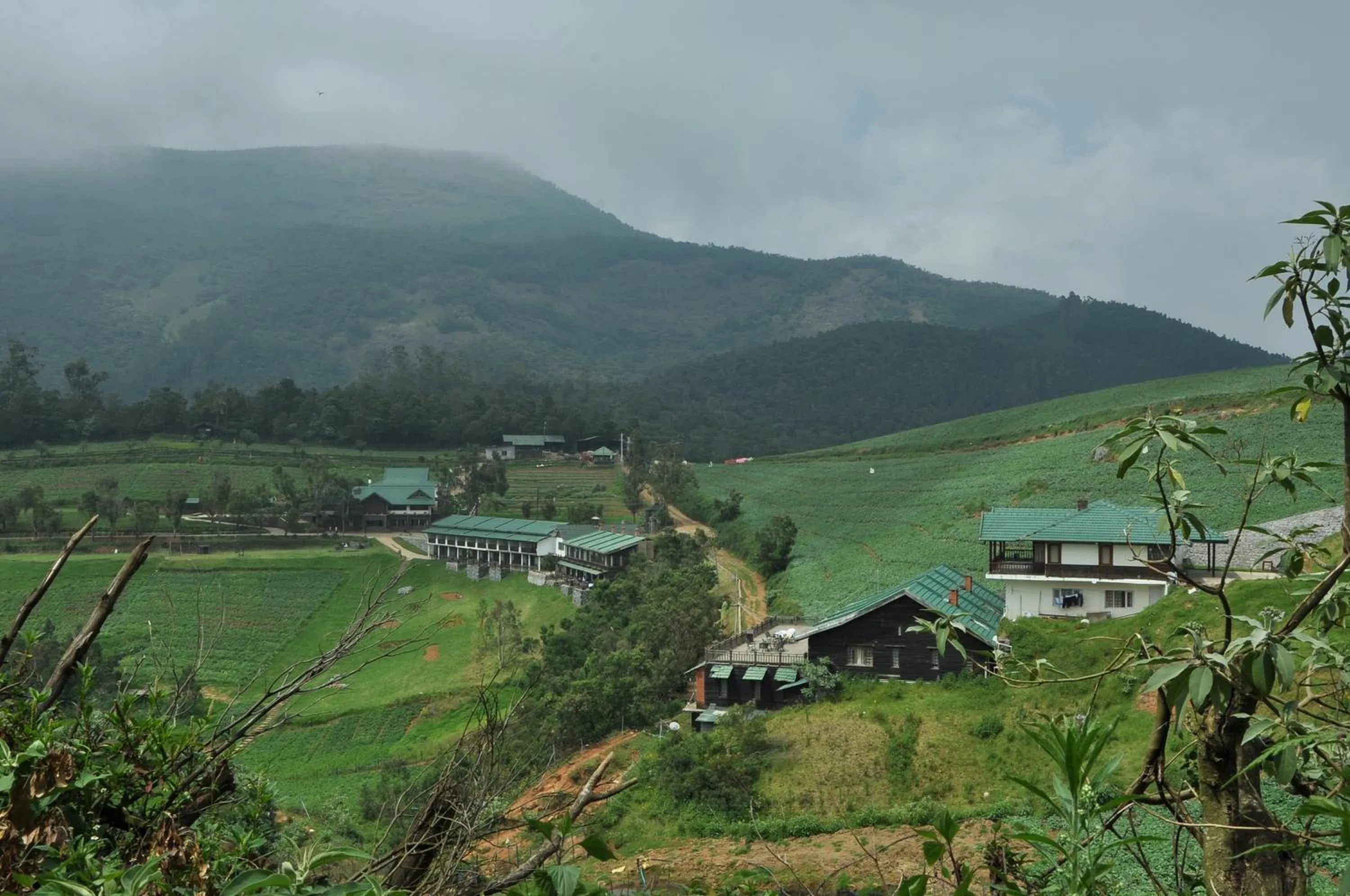 Natural landscape in Destiny - The Farm Resort