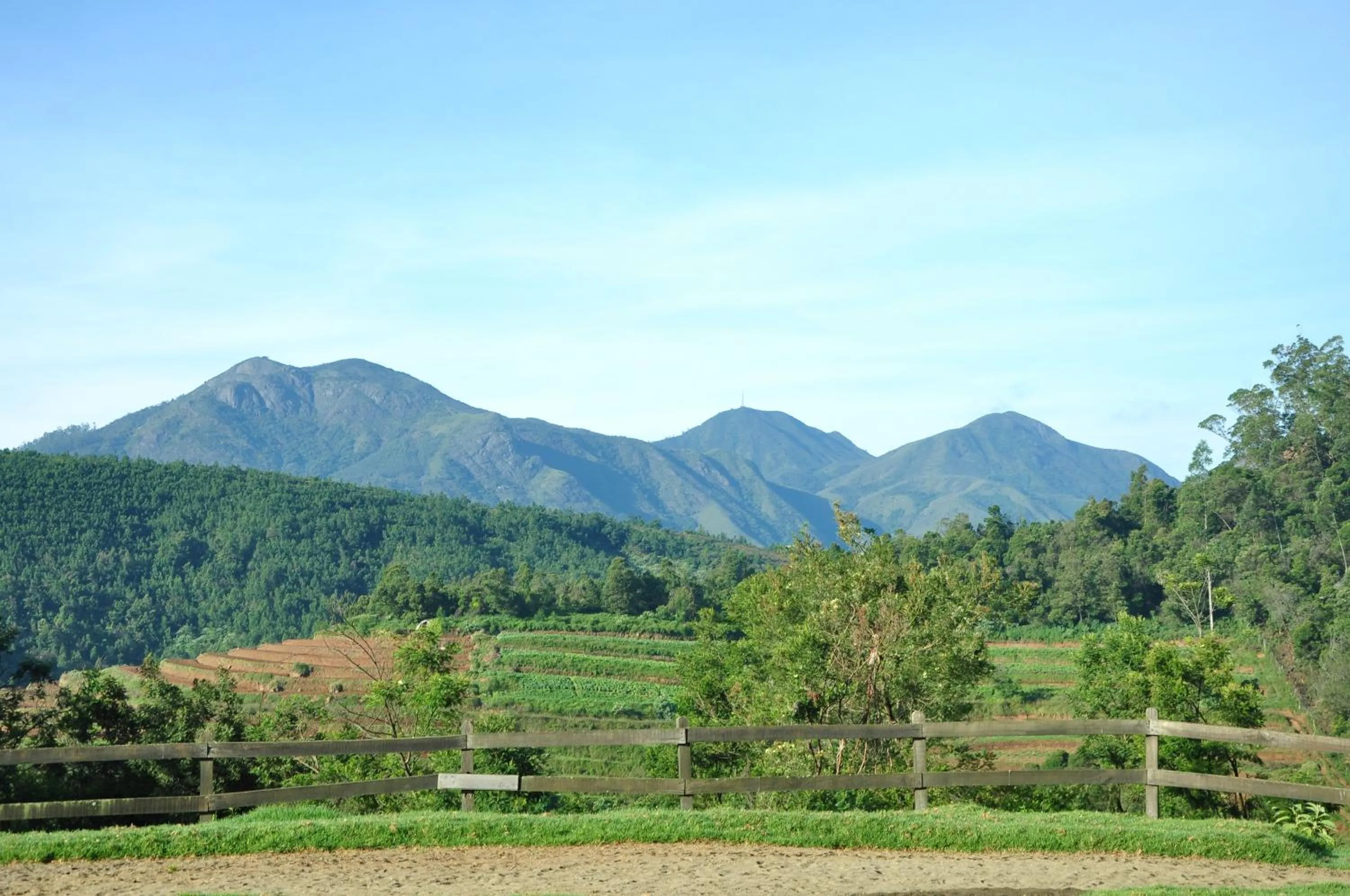 Day in Destiny - The Farm Resort