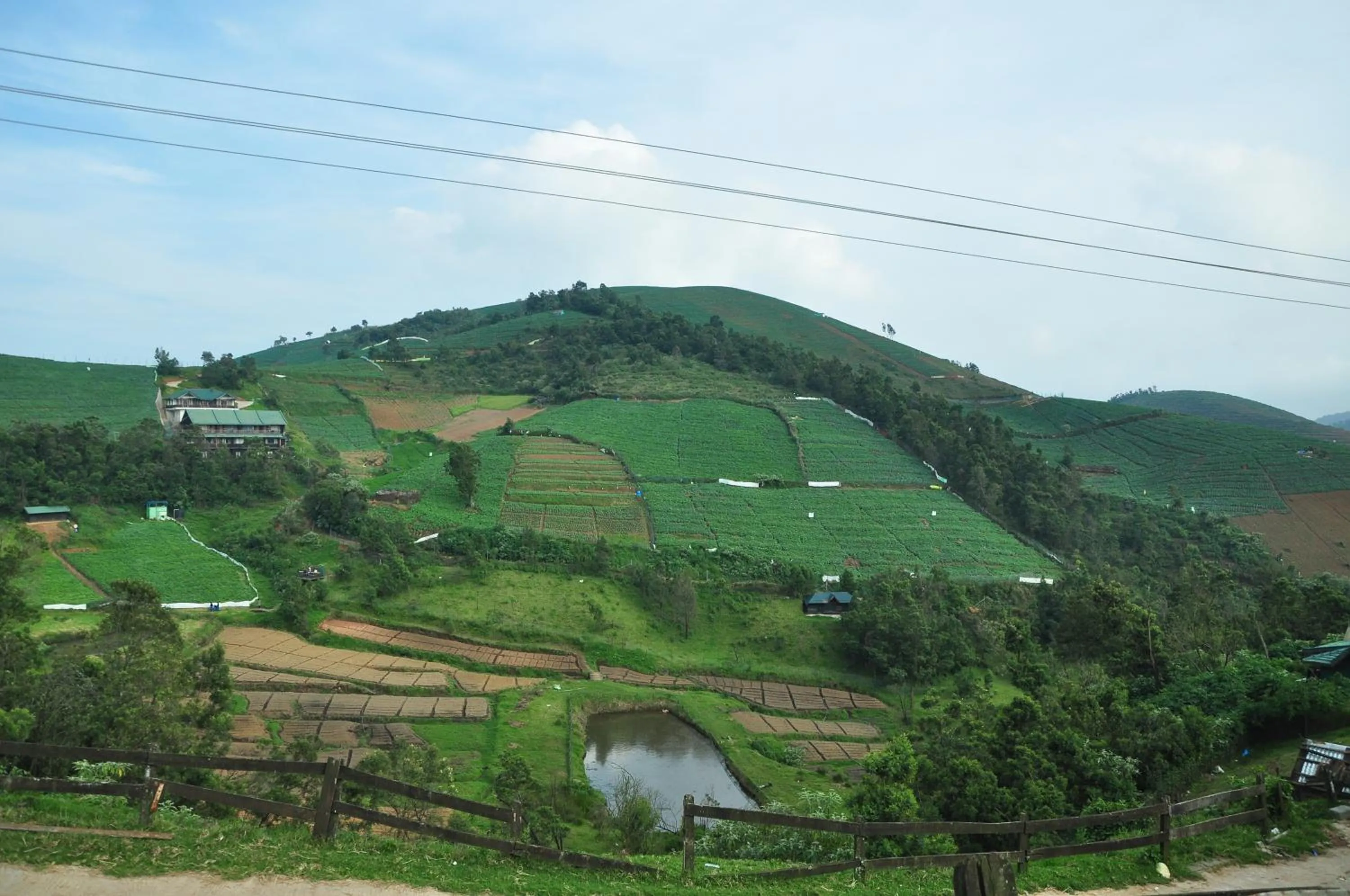 Day in Destiny - The Farm Resort