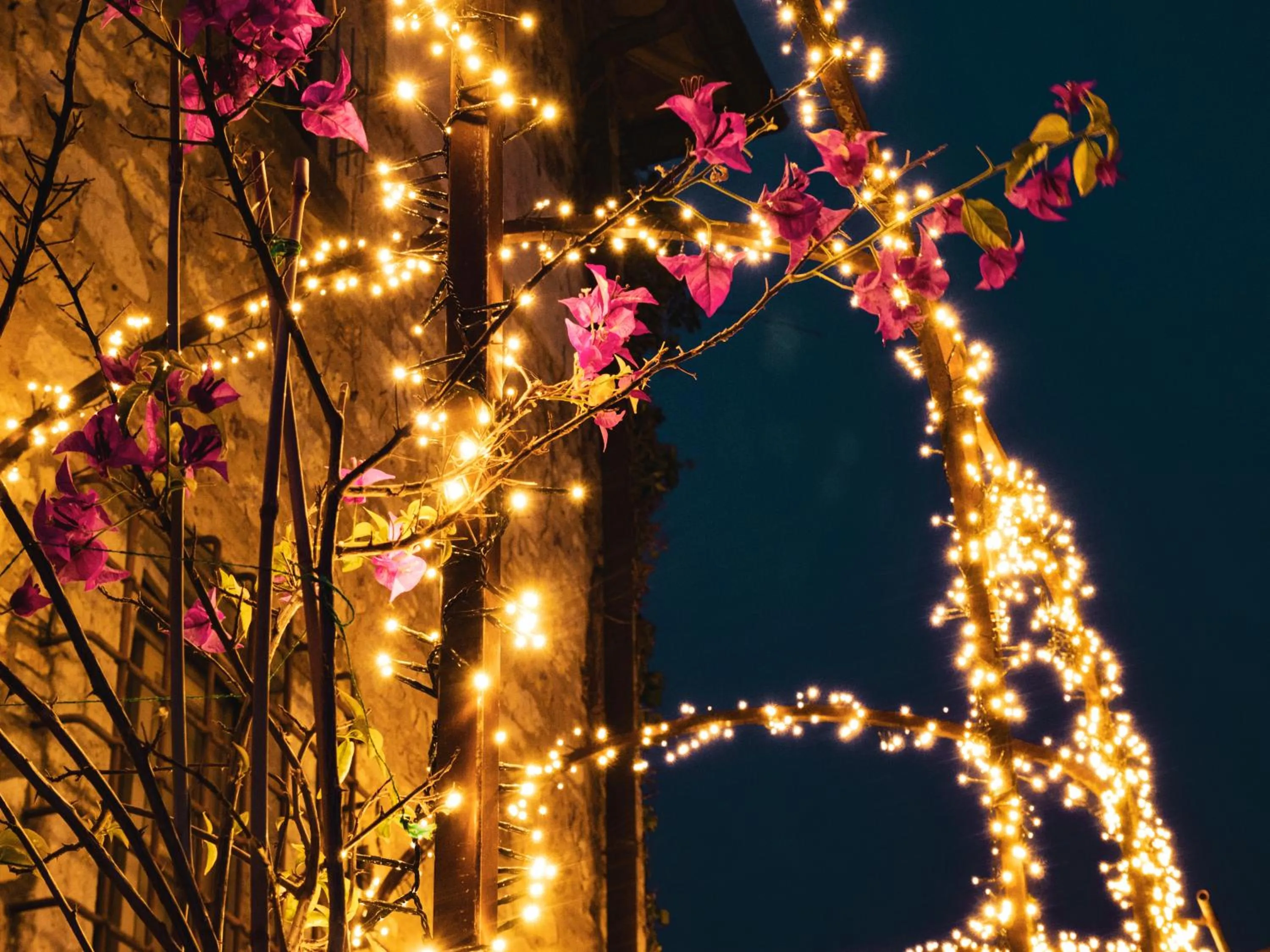 Garden in Tenuta Cortedomina
