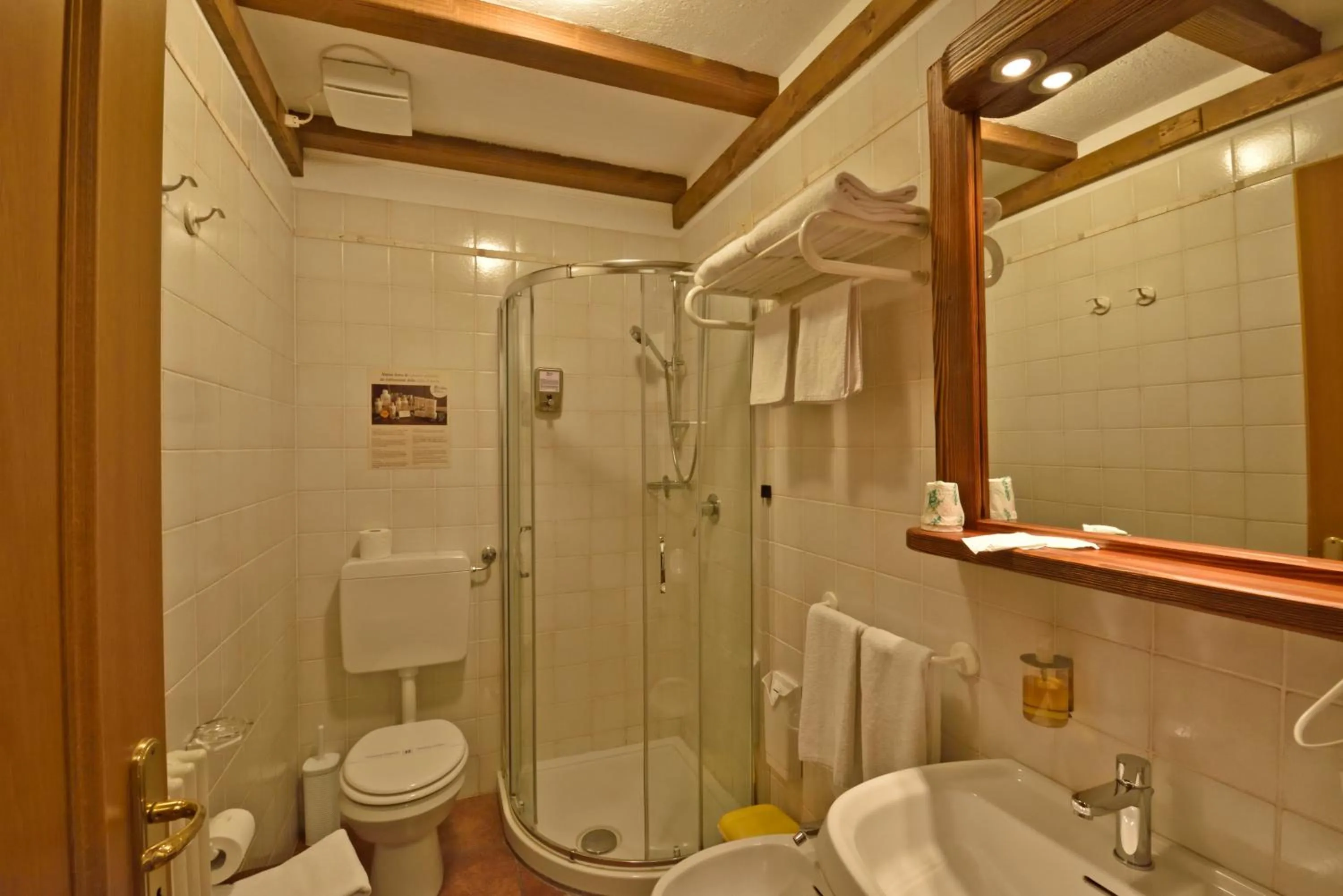 Shower in La Roche Hotel Appartments