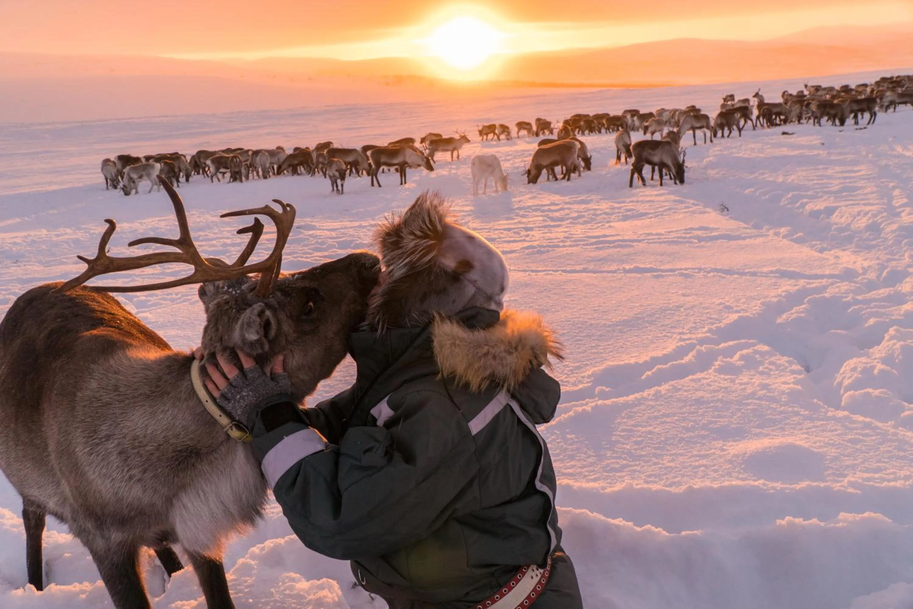 Natural landscape in Arctic Land Adventure Glass Igloos