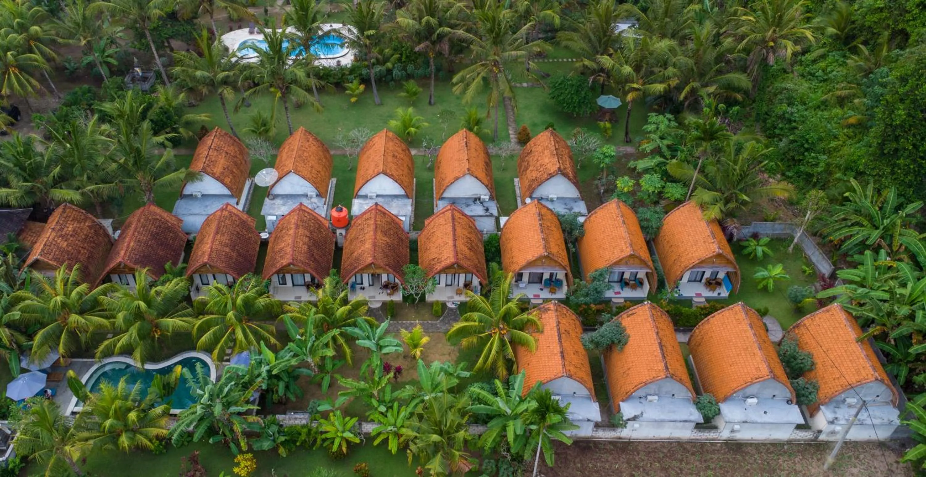 Animals in Penida Bay Village