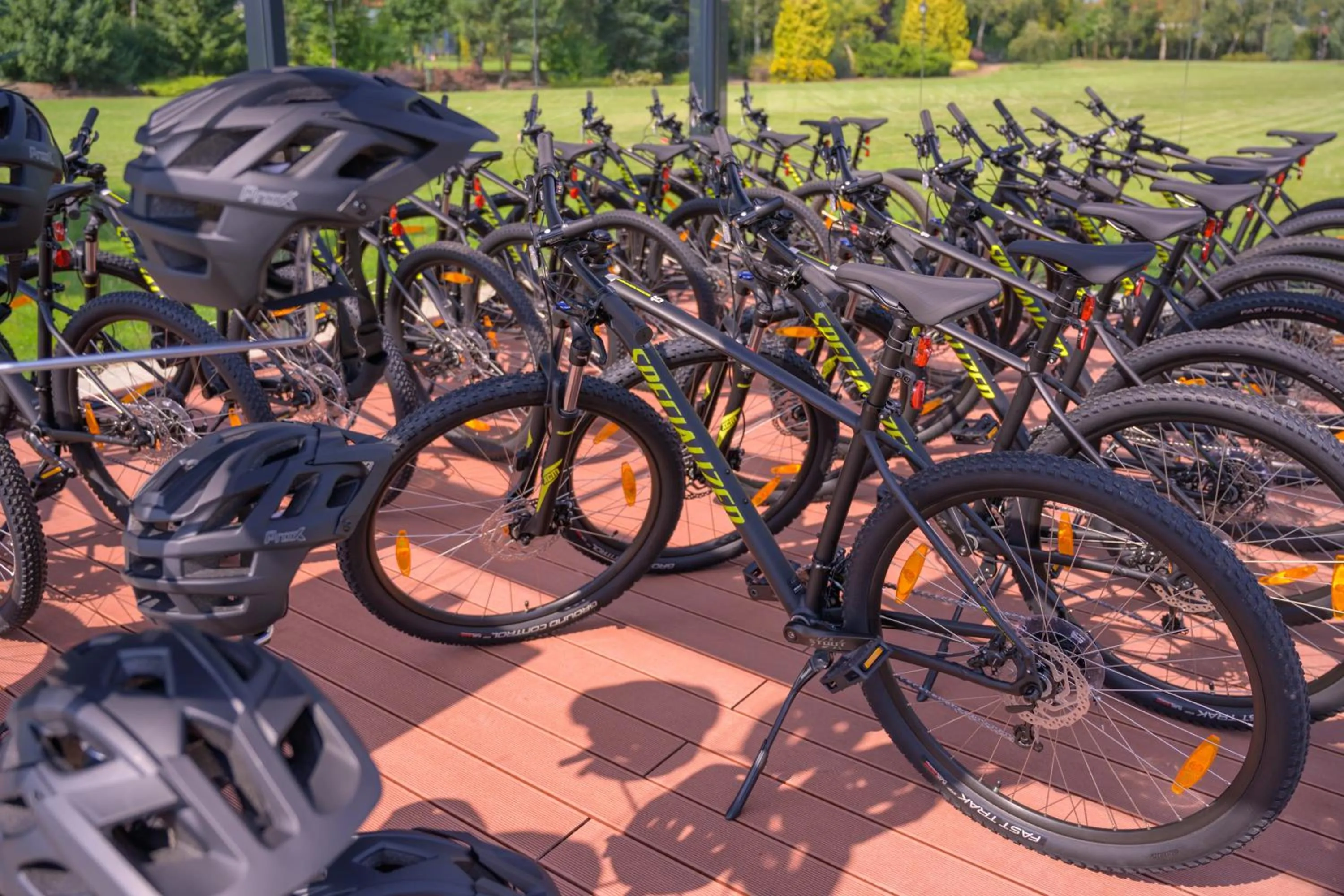 Activities in Hotel Habenda