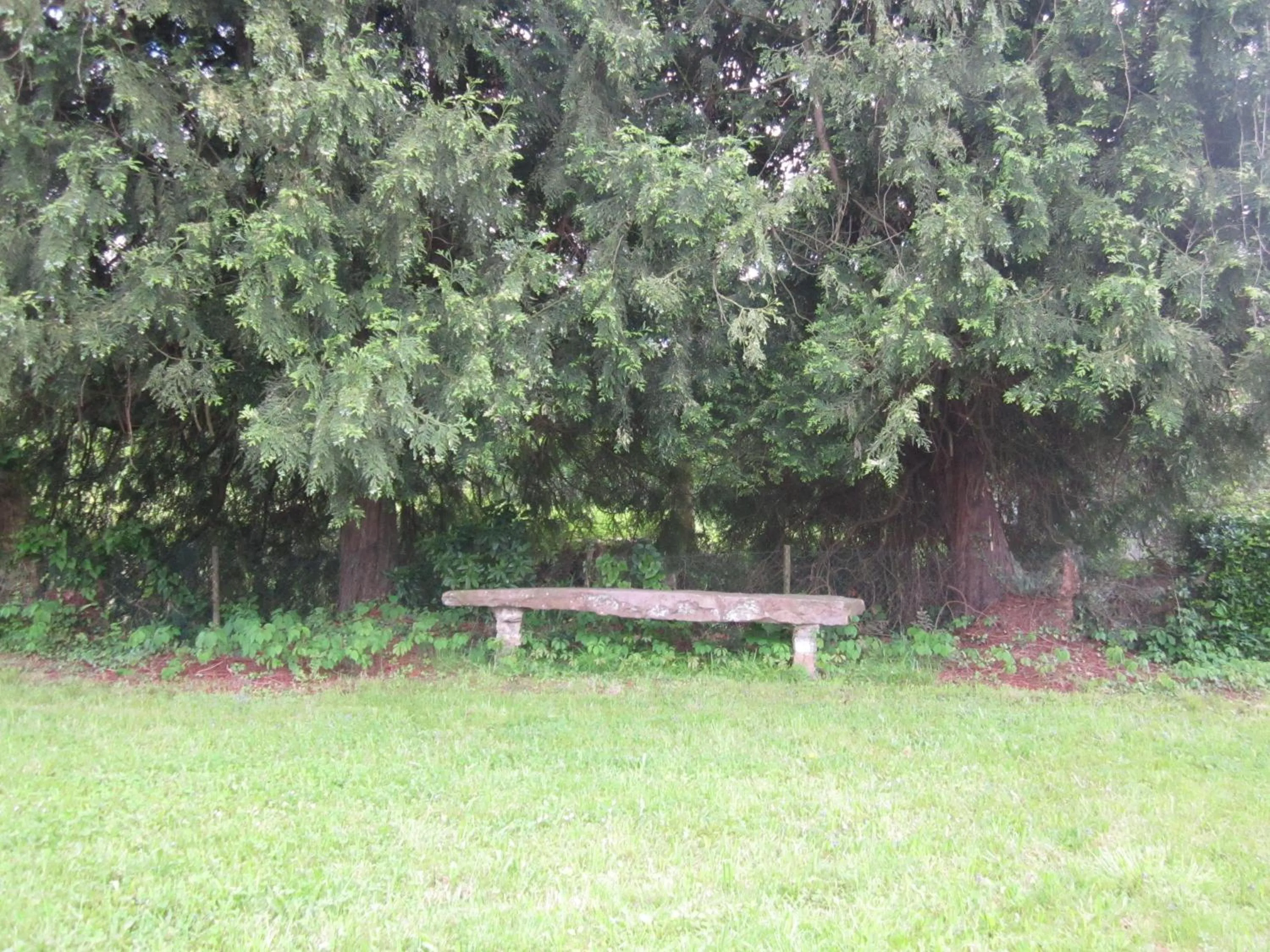 Natural landscape in Logis Hotel Ur-Hegian