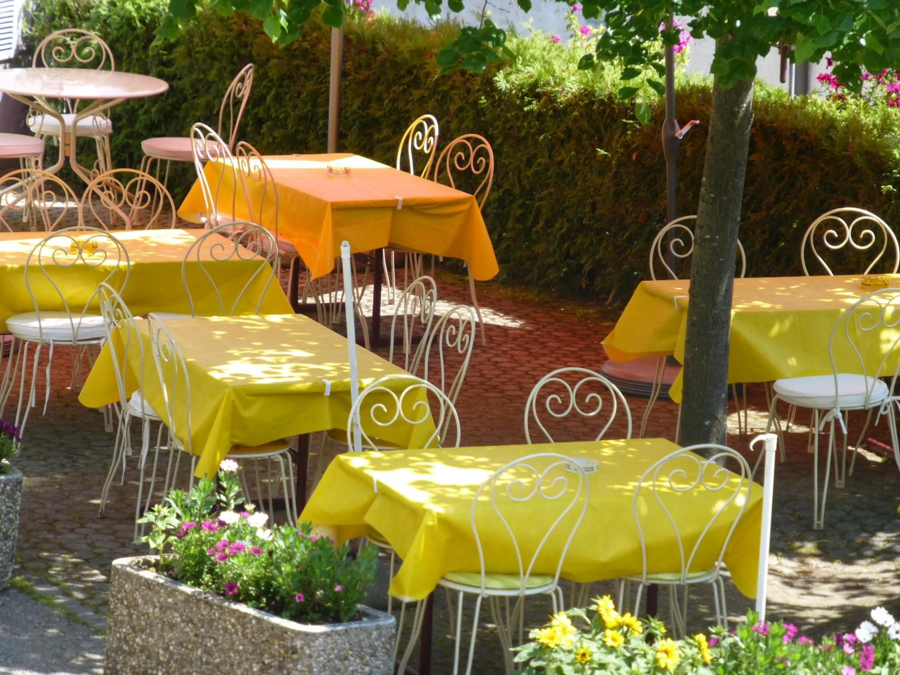 Restaurant/places to eat in Hôtel de France