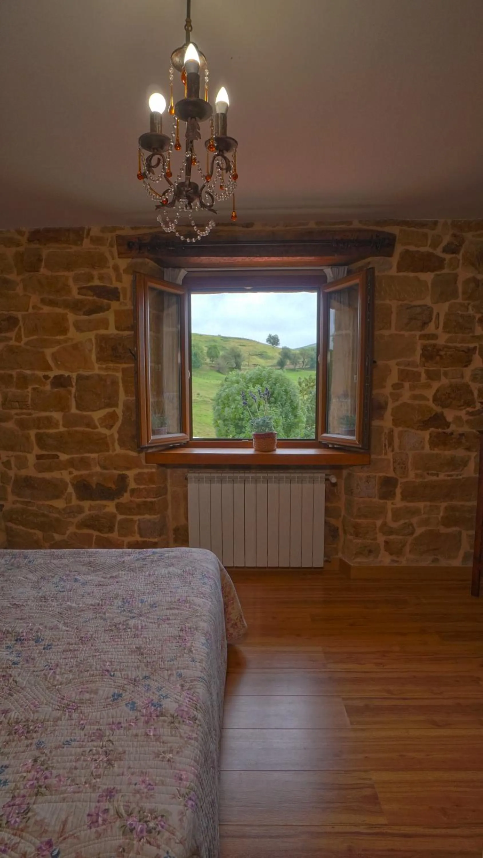 View (from property/room) in Posada Venta Hornizo