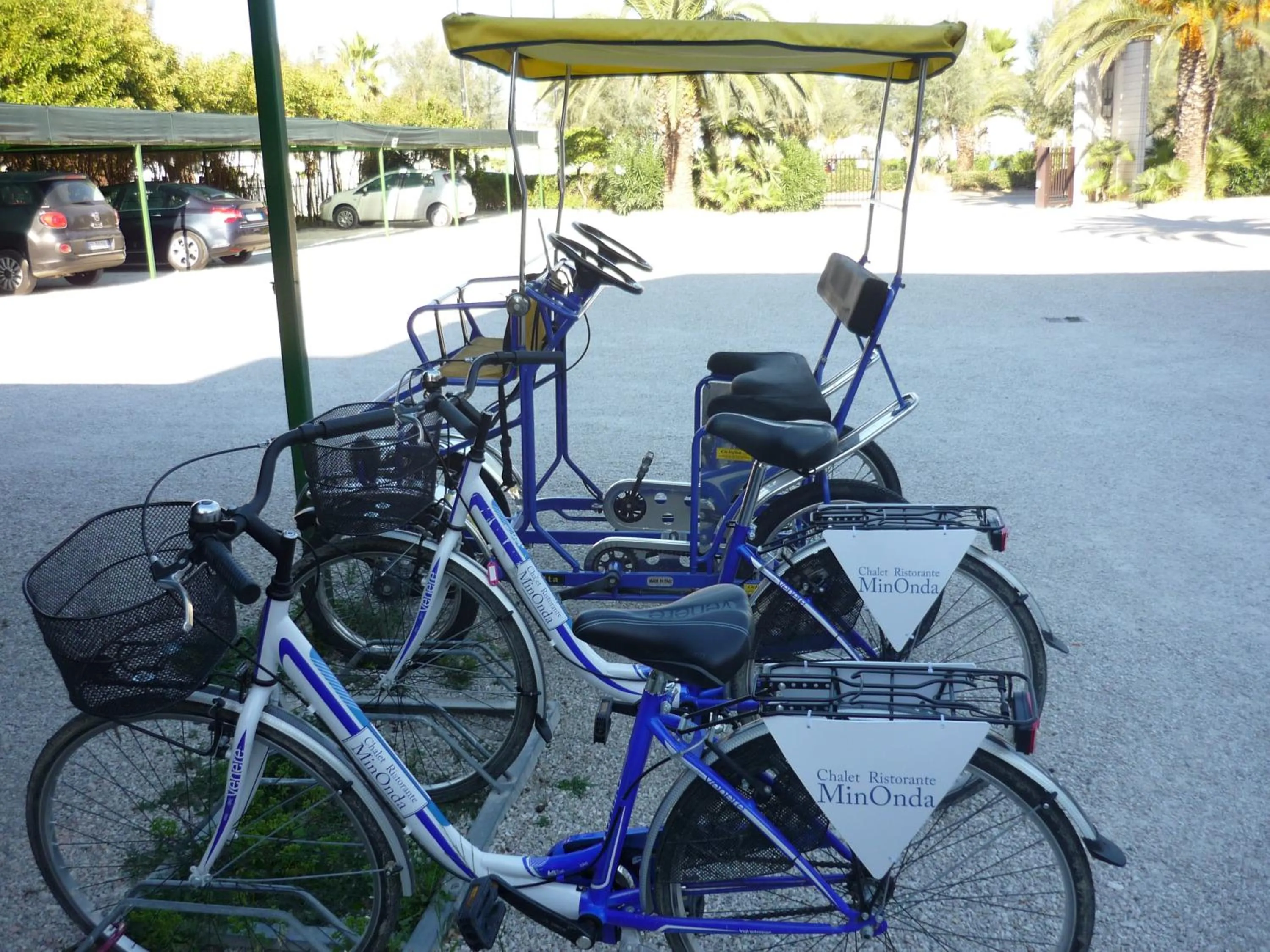 Activities in Hotel Il Timone