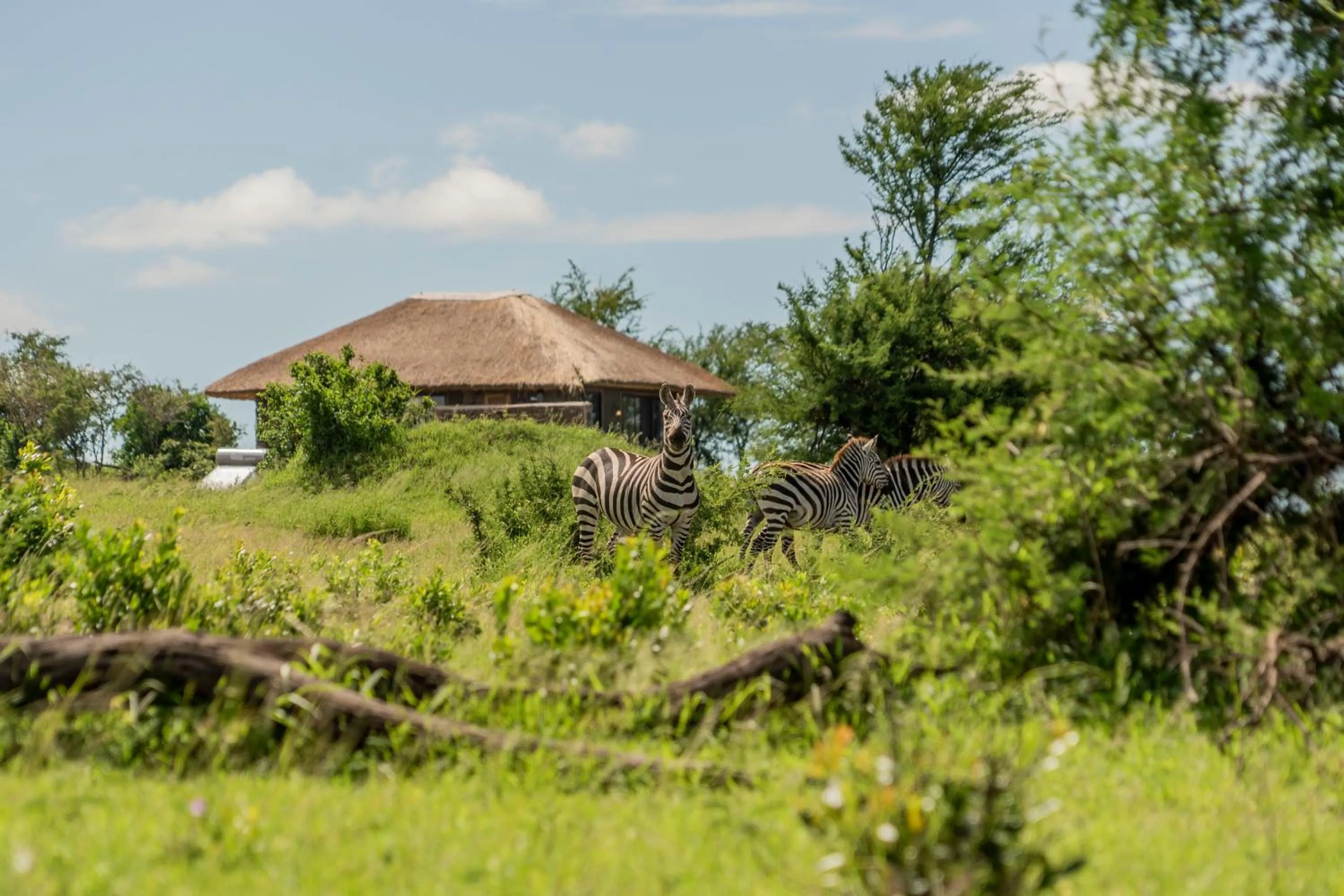 Natural landscape in Serengeti Mara River Camp