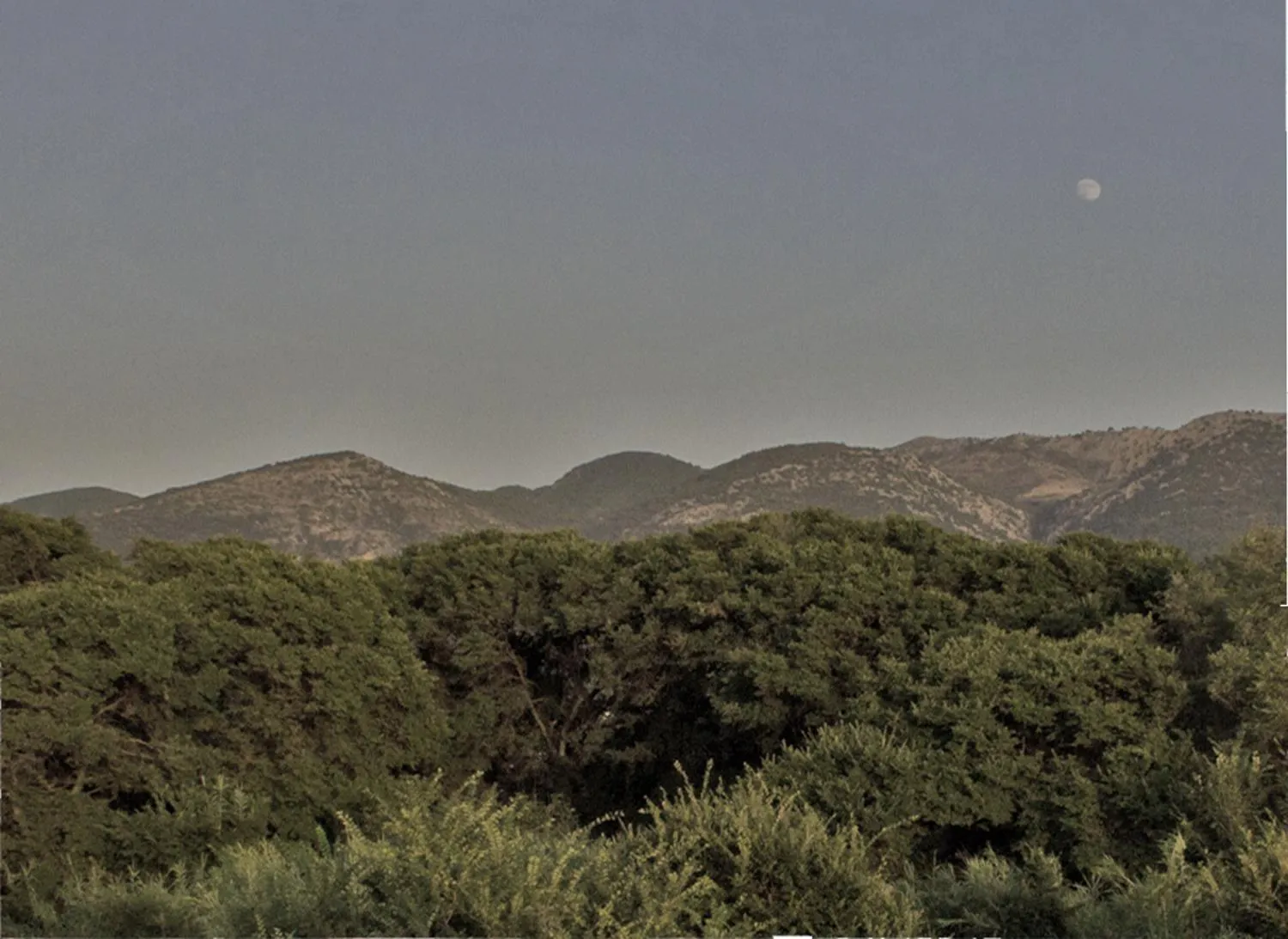 Mountain view in Nireas Resort Corfu