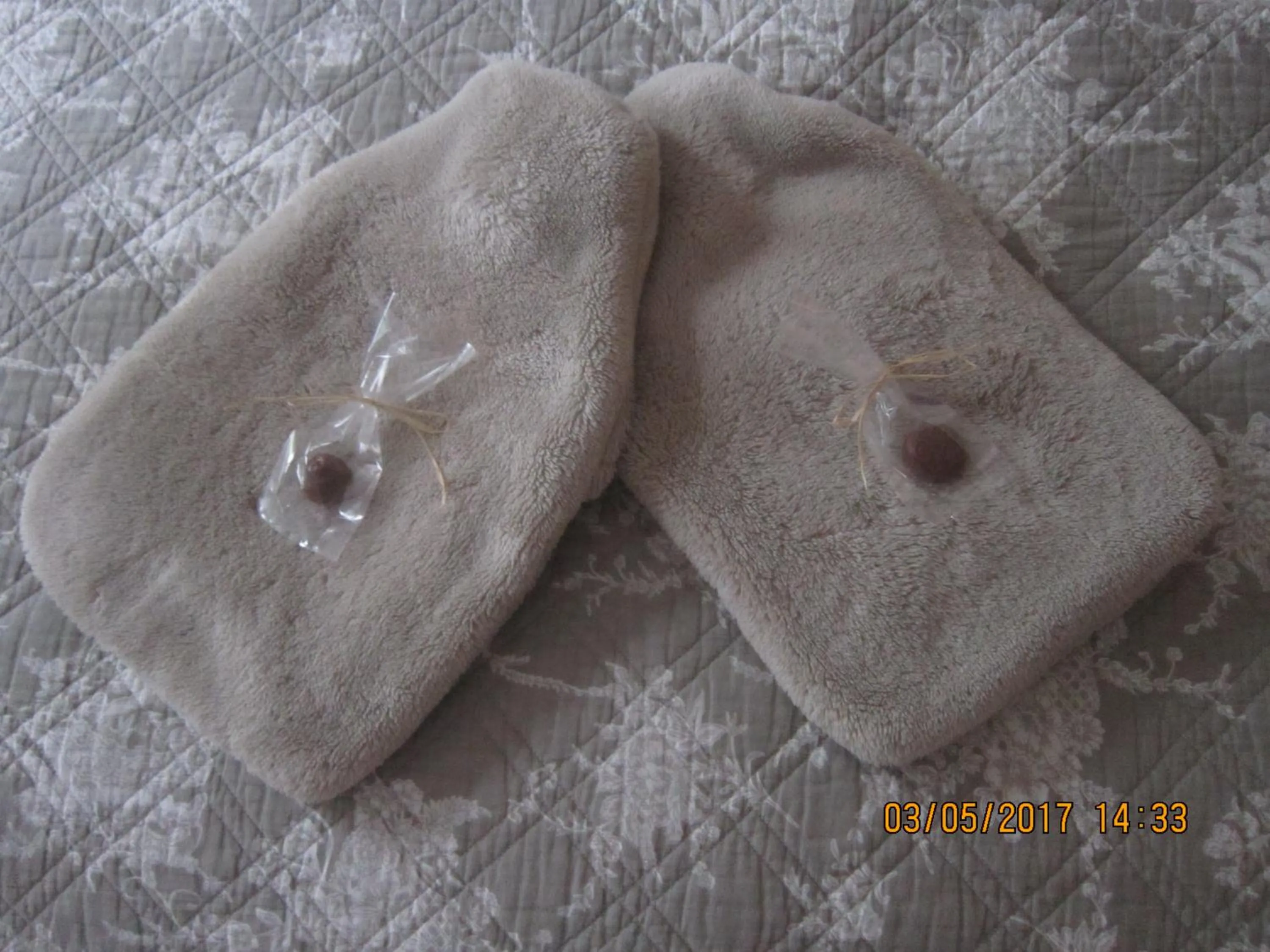 Area and facilities in Twilight Cottage