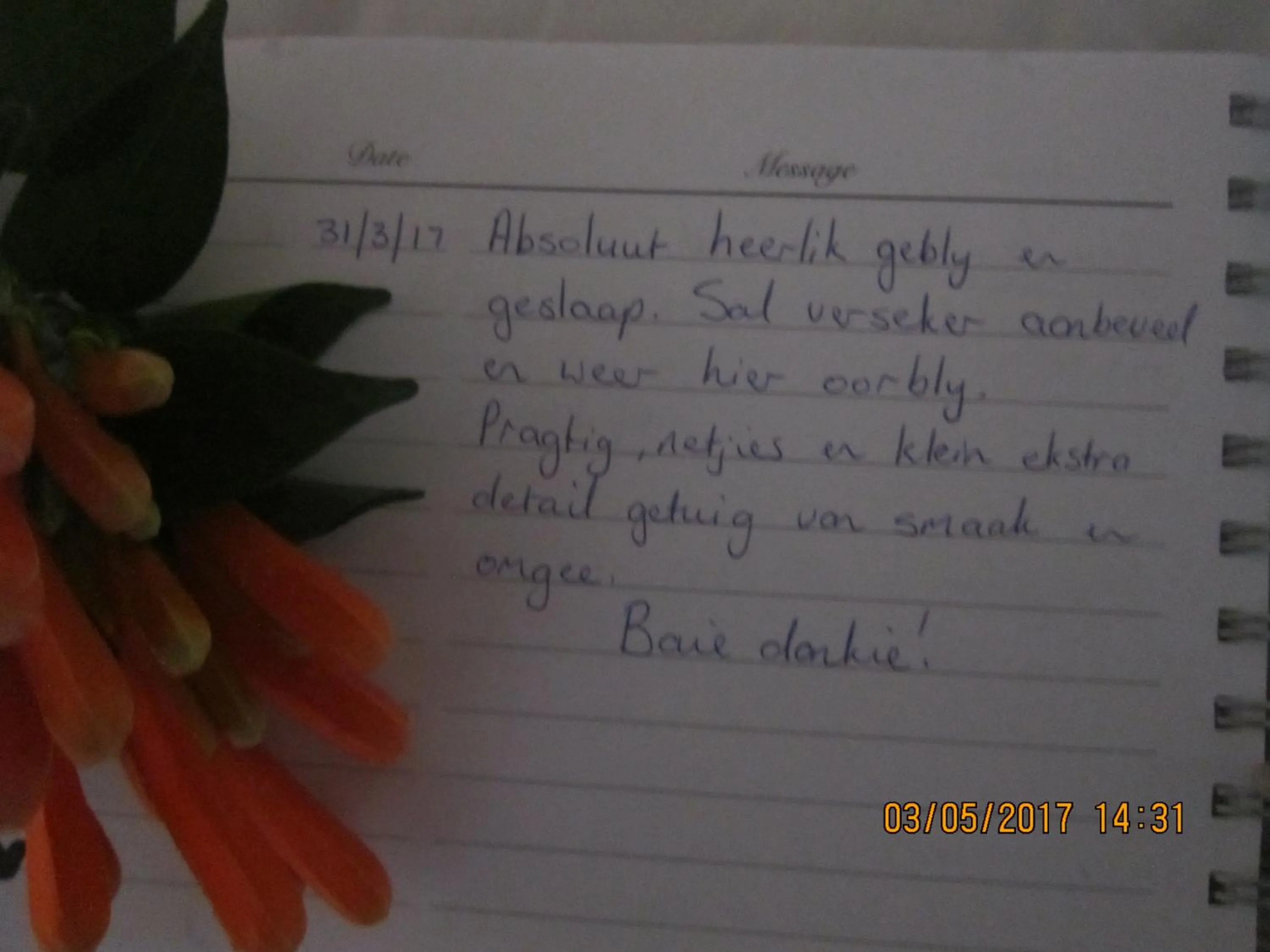 Guests in Twilight Cottage