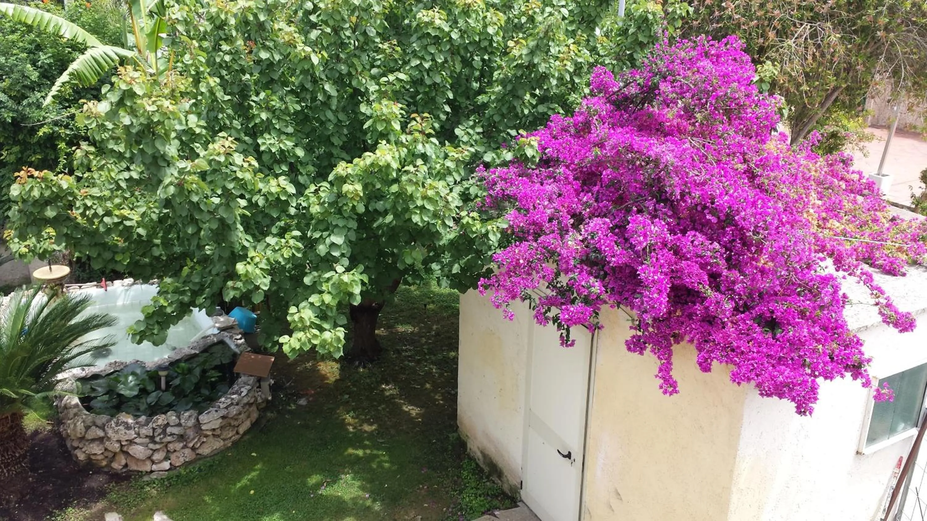 Garden view in Vento Dell'Est