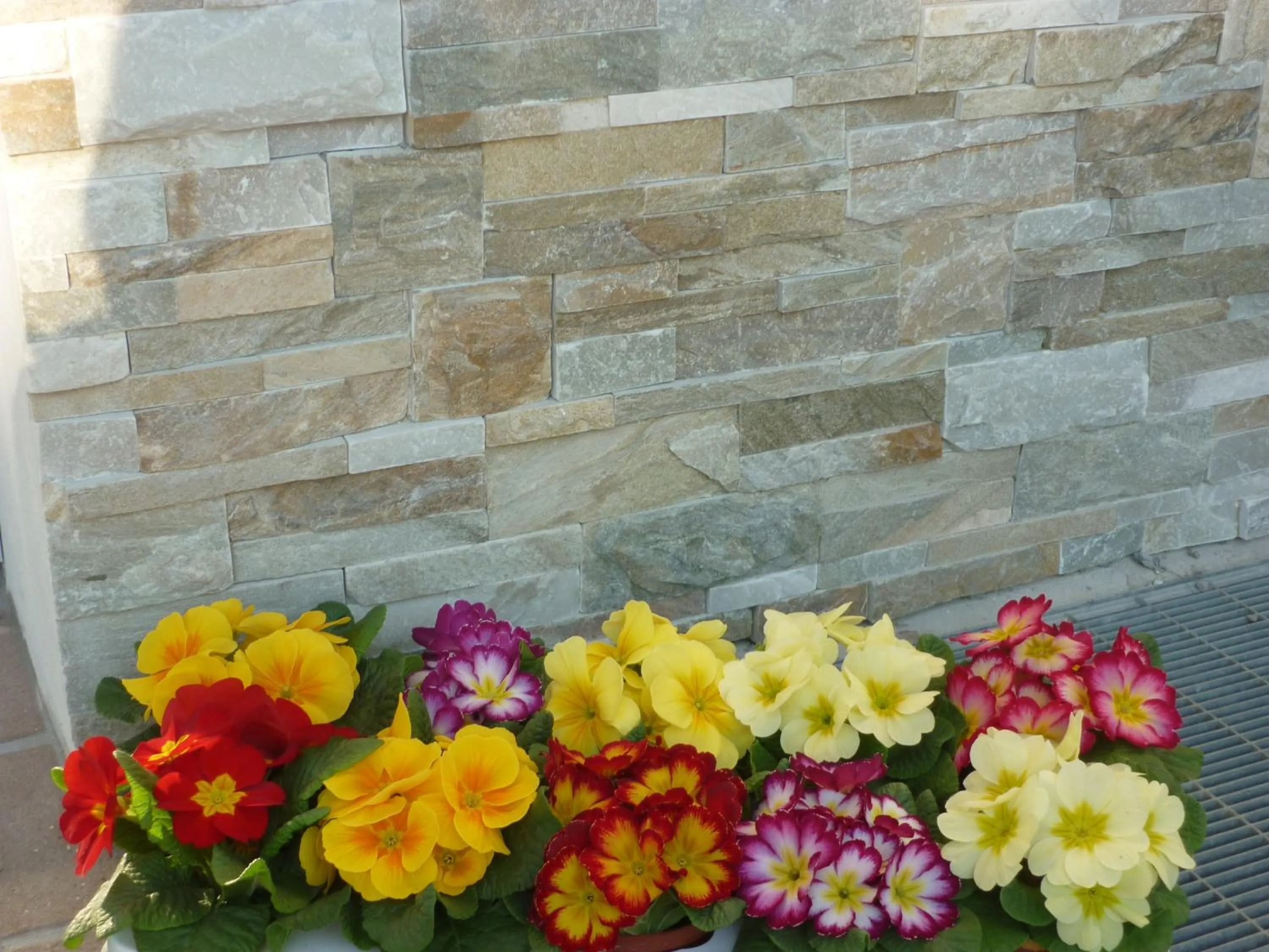 Facade/entrance in Residence Rivachiara (check-in at Hotel Riviera in Viale Rovereto, 95)