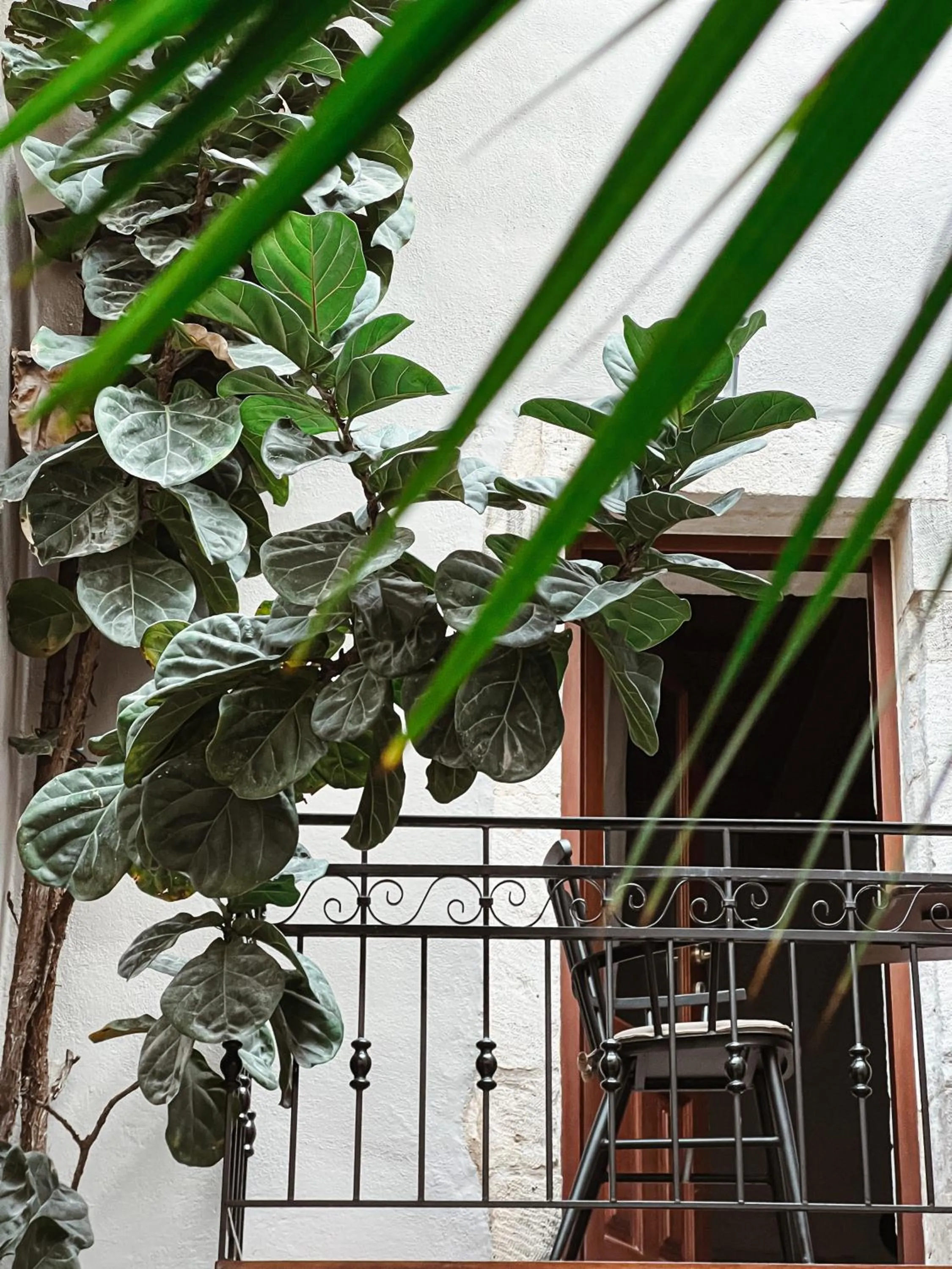 Balcony/Terrace in Casa Dei Delfini