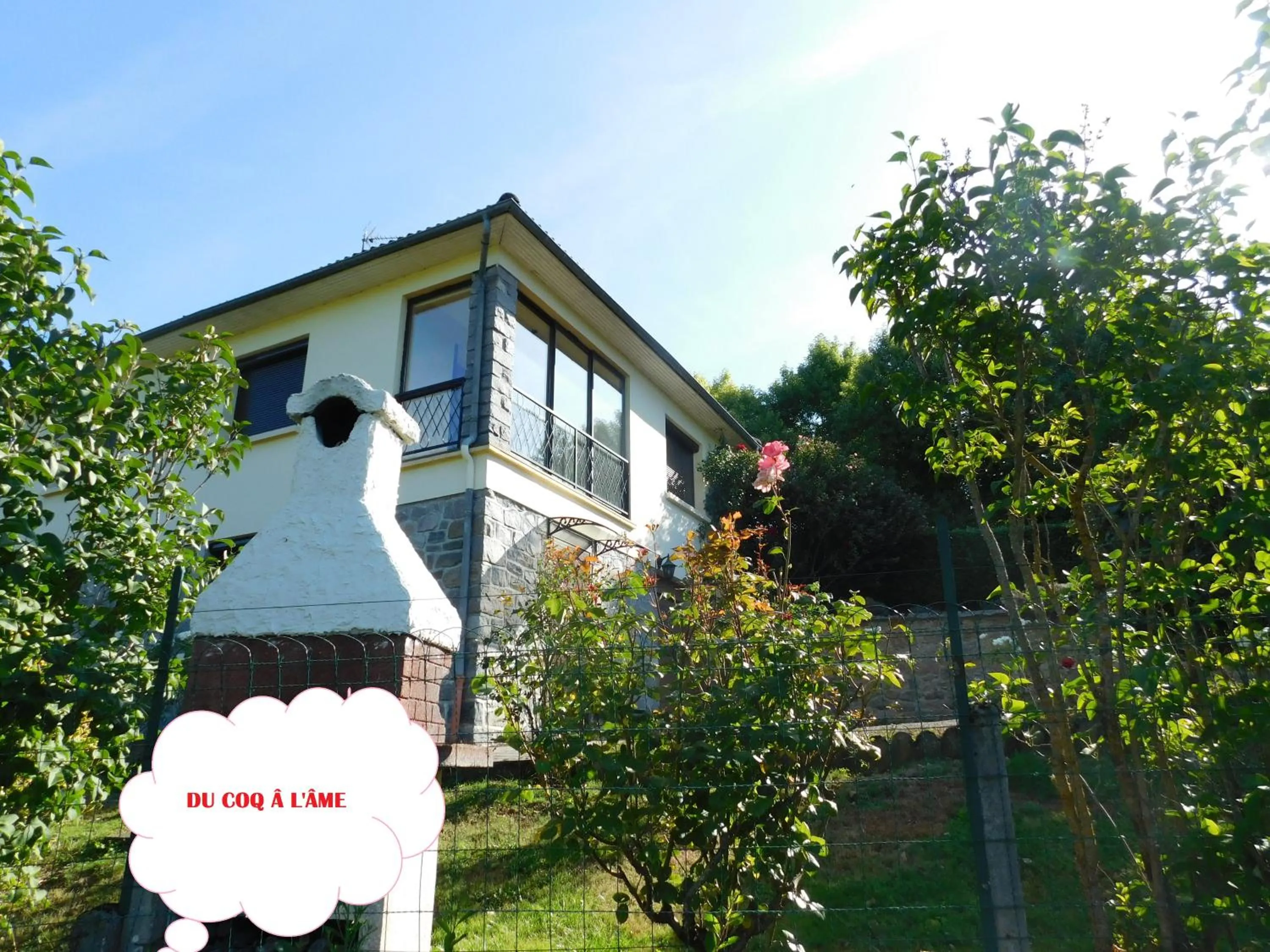 Bird's eye view in Du coq à l'âme