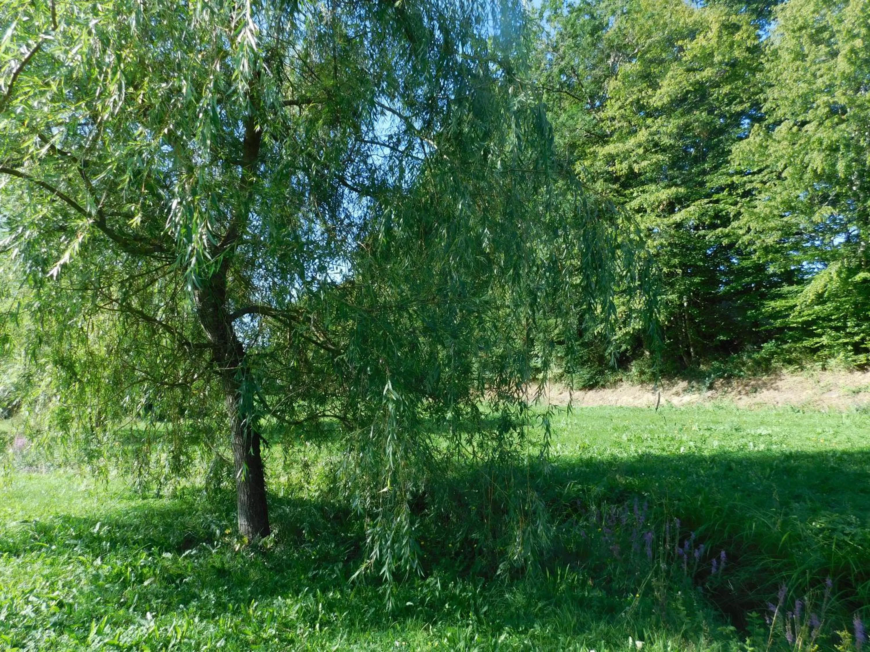 River view in Du coq à l'âme