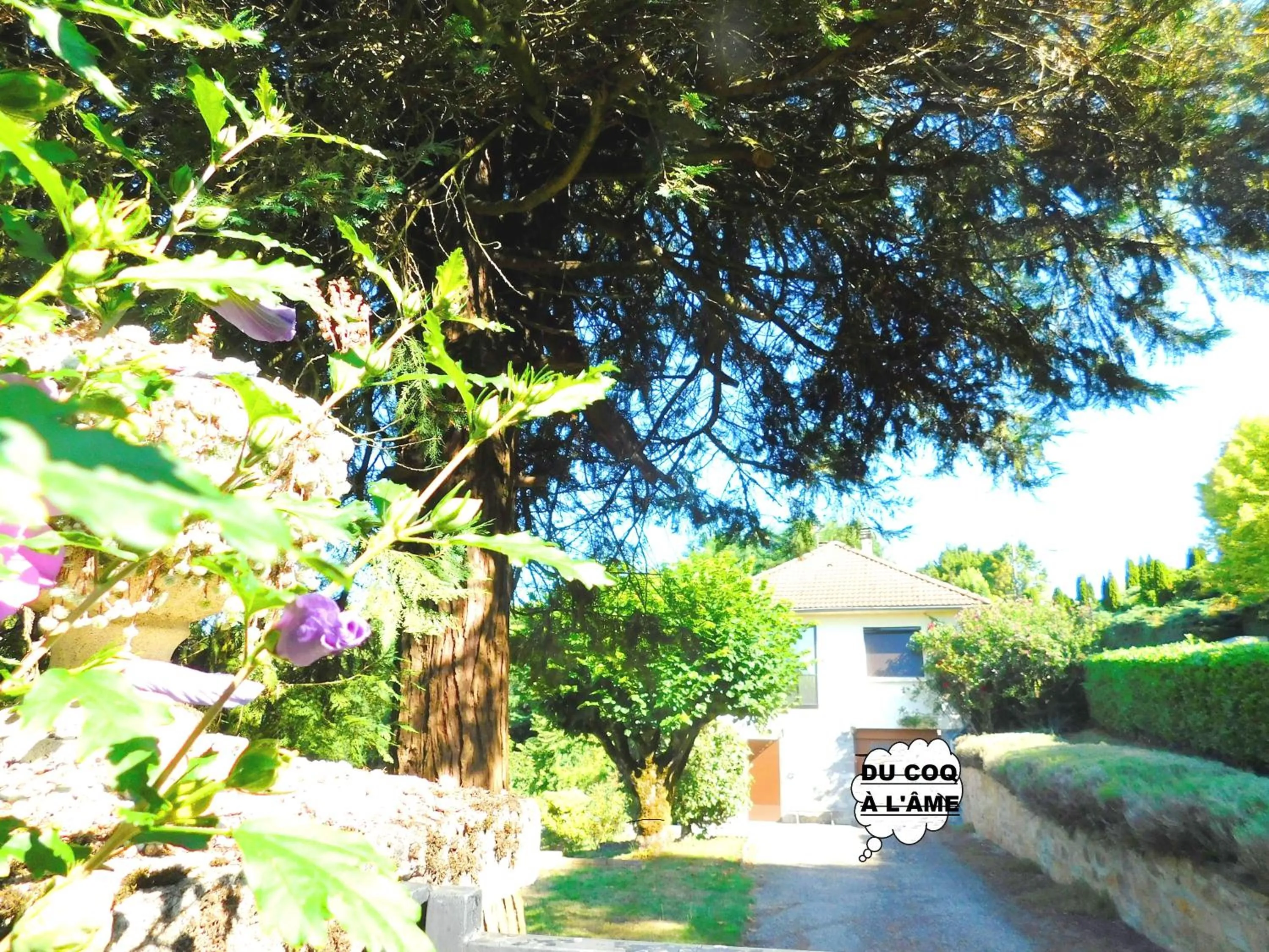 Property building in Du coq à l'âme