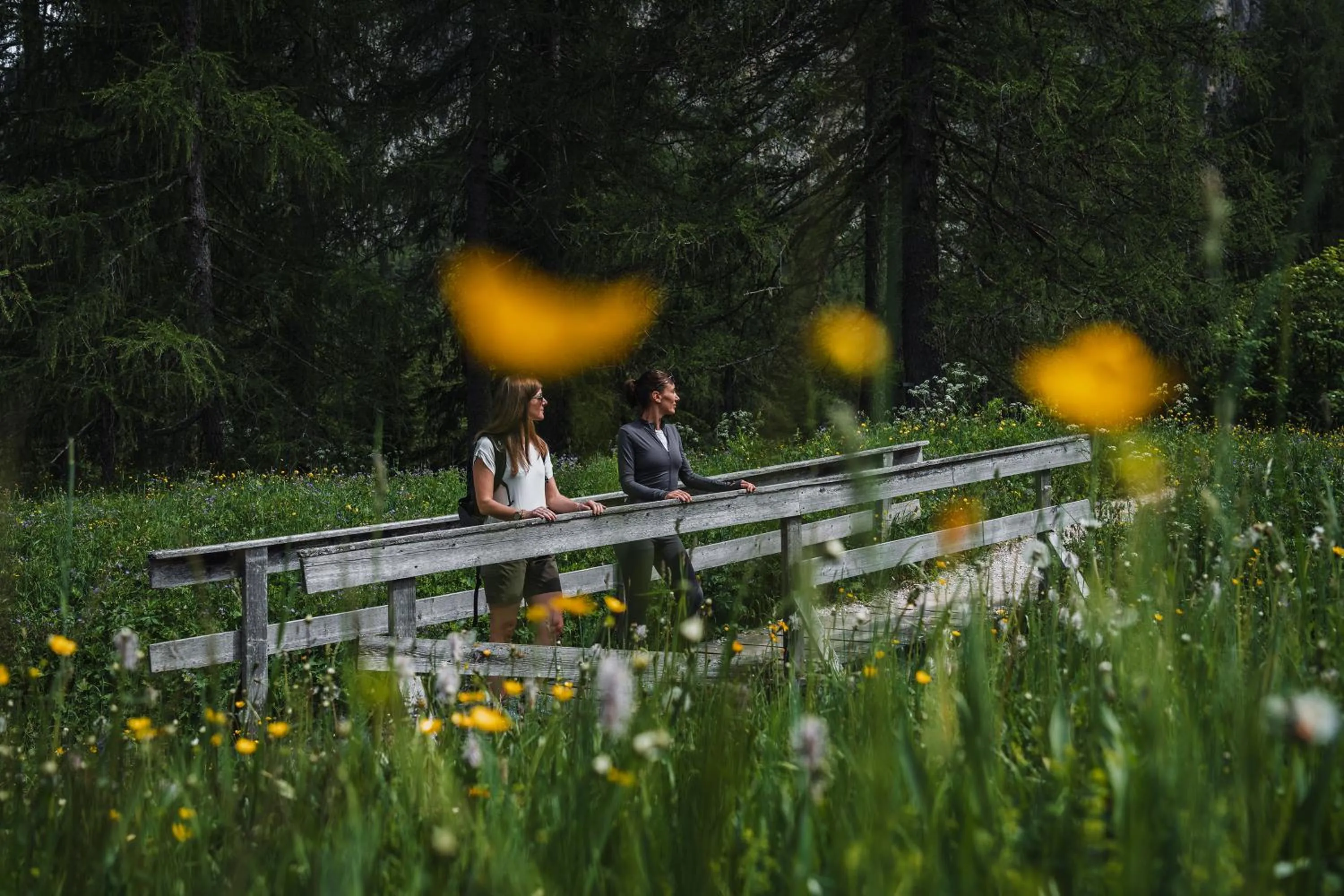 Natural landscape in Hotel Ciasa Soleil