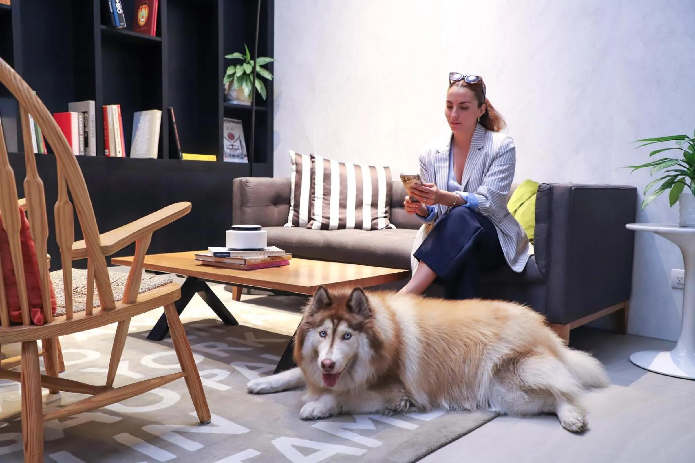 Pets in INNSiDE by Meliá Lima Miraflores