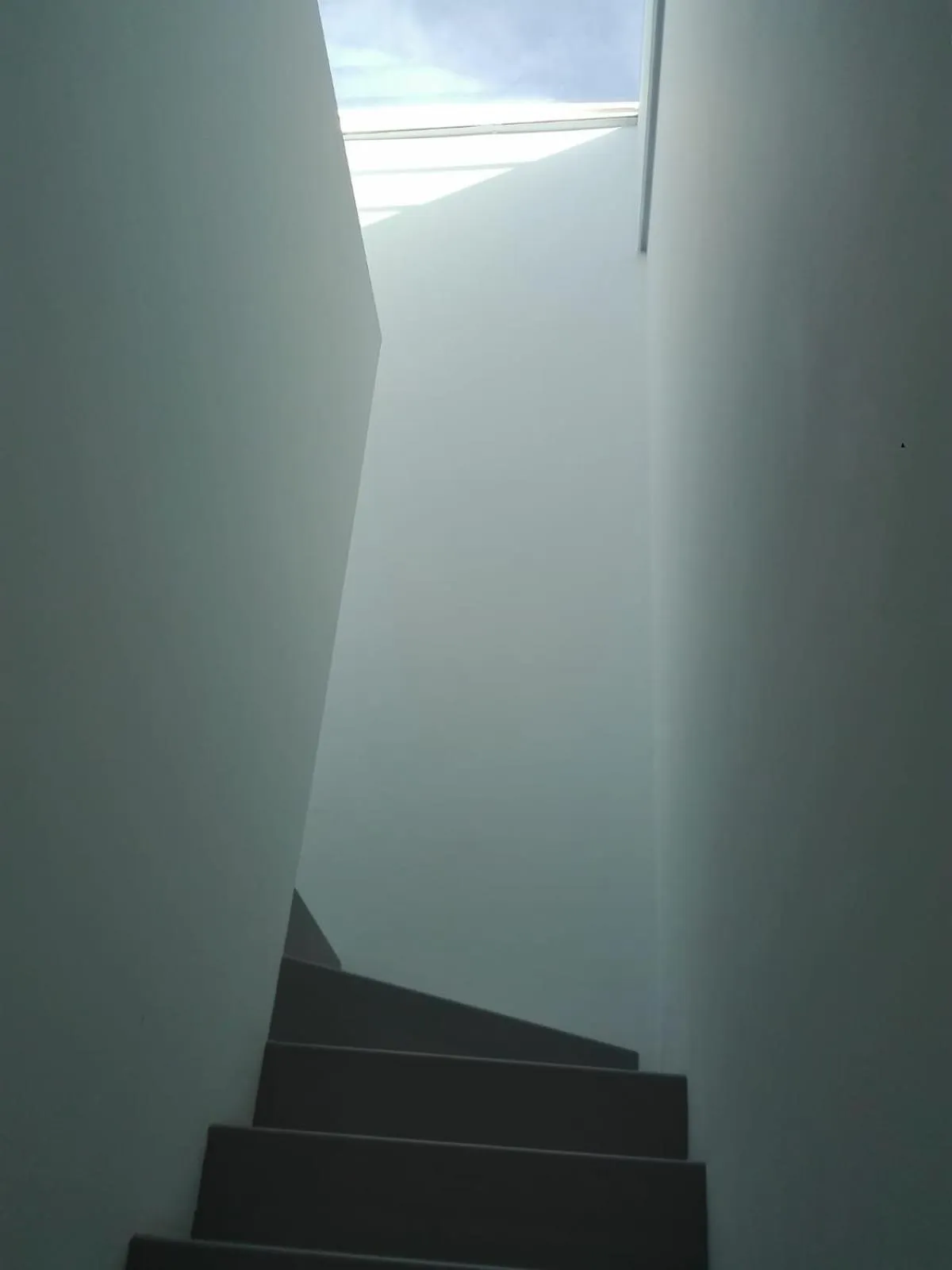 Patio 101 "Exclusive"