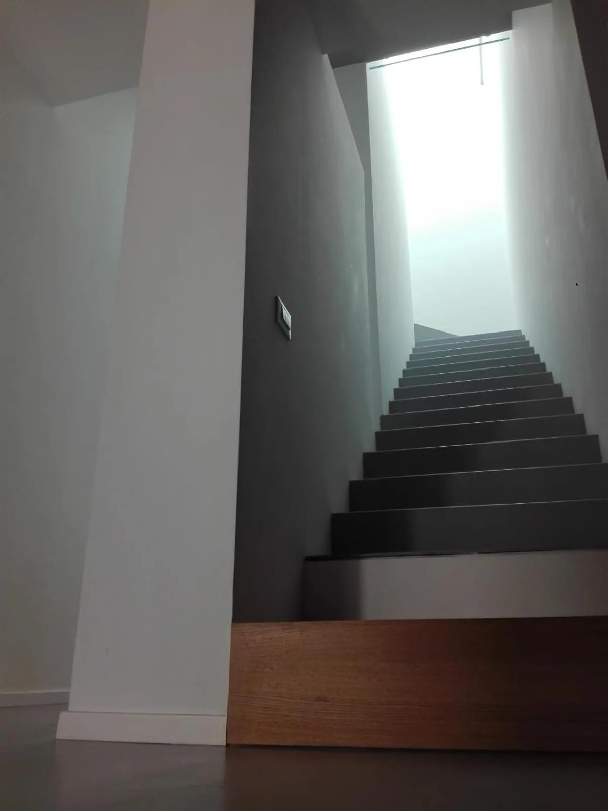 Lobby or reception in Patio 101 "Exclusive"