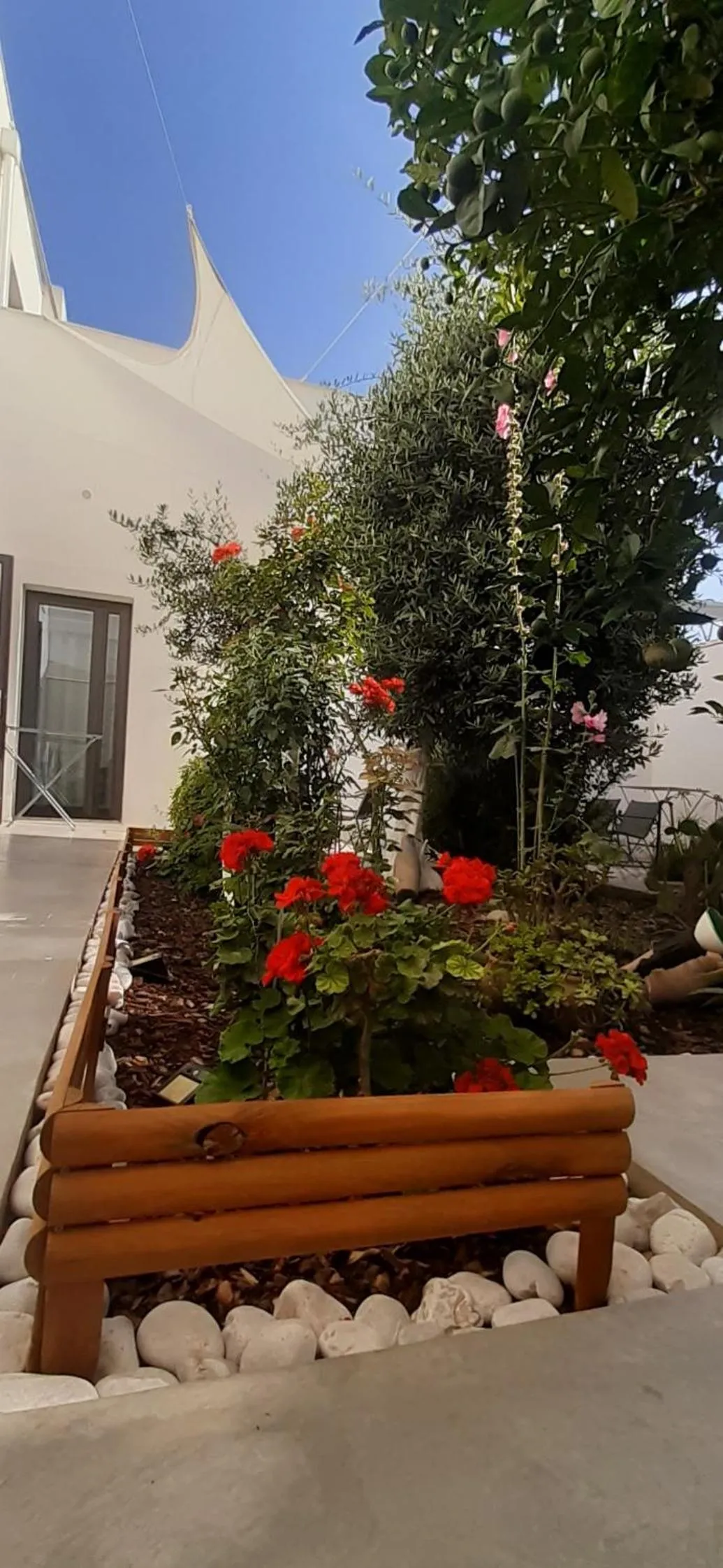 Day in Patio 101 "Exclusive"