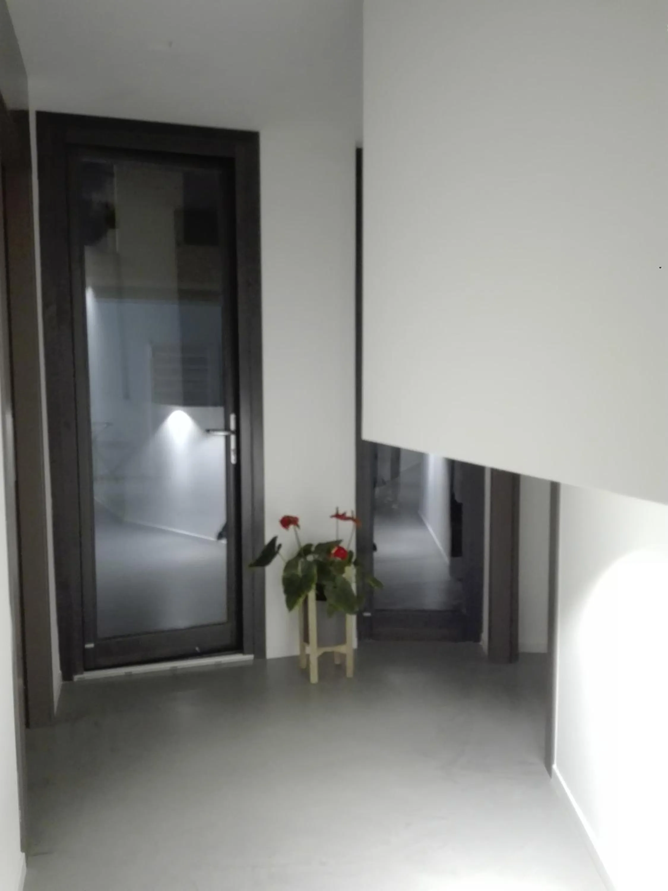 Lobby or reception, Bed in Patio 101 "Exclusive"