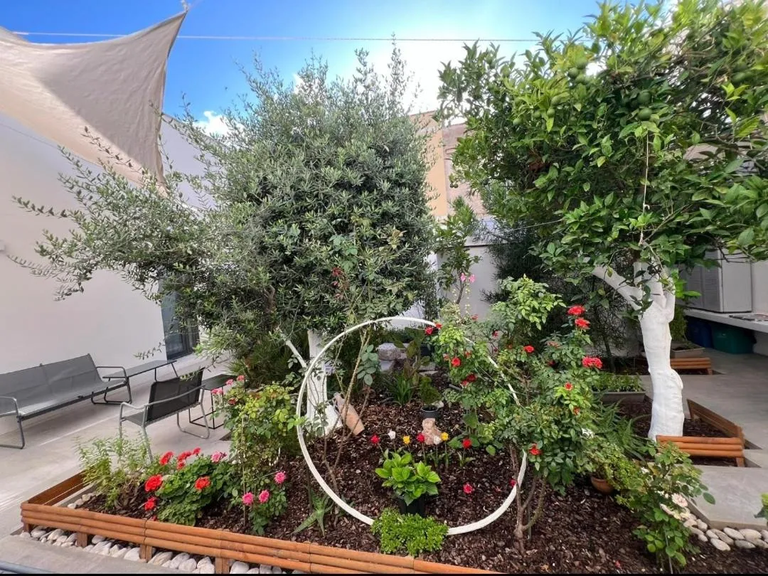 Day in Patio 101 "Exclusive"