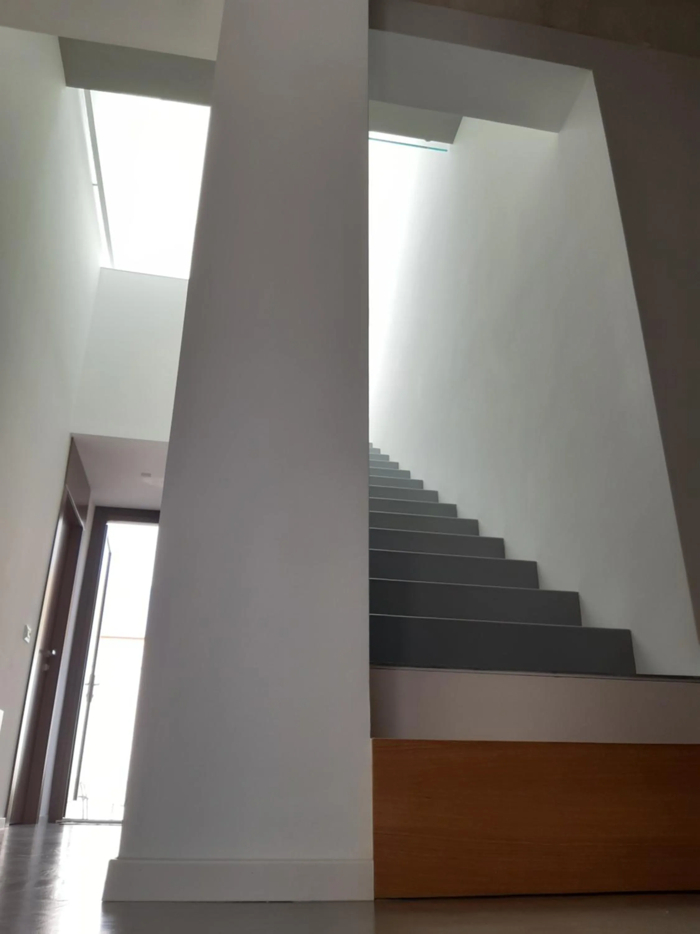 Lobby or reception in Patio 101 "Exclusive"