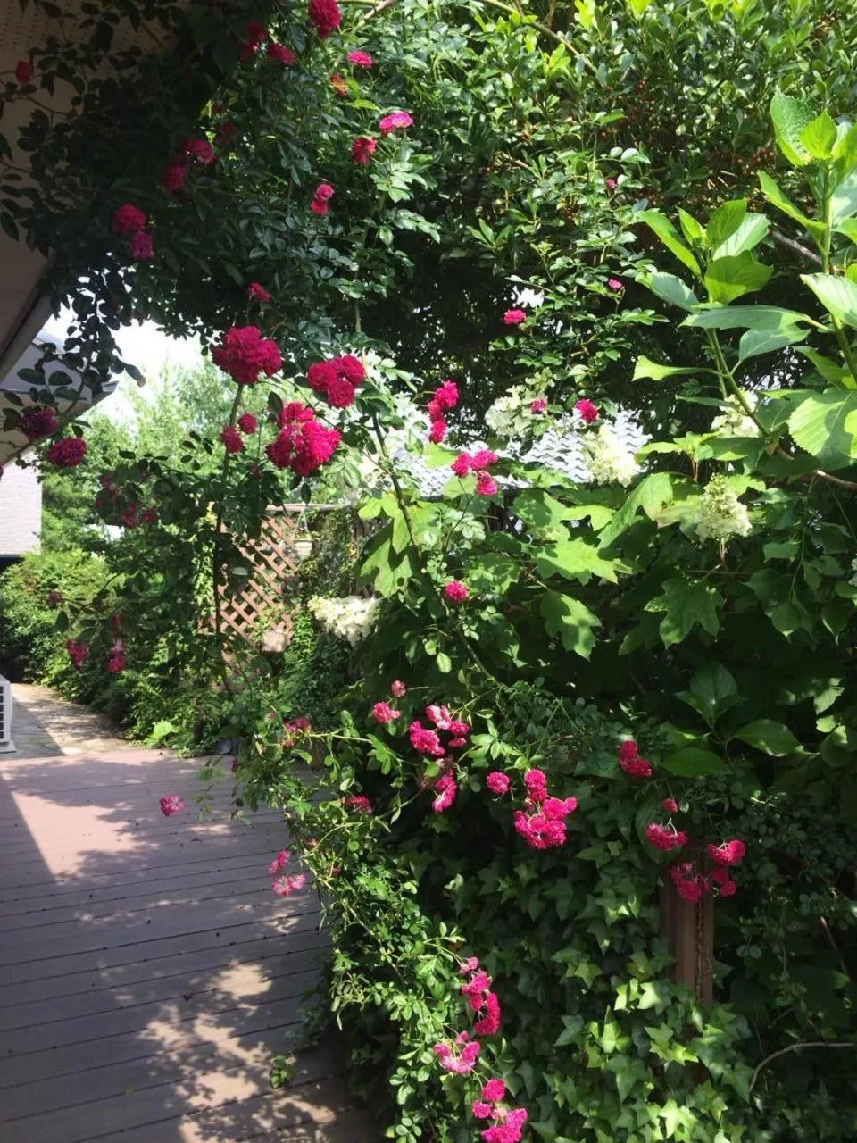 Property building in Youyousanso Apartment in Mie