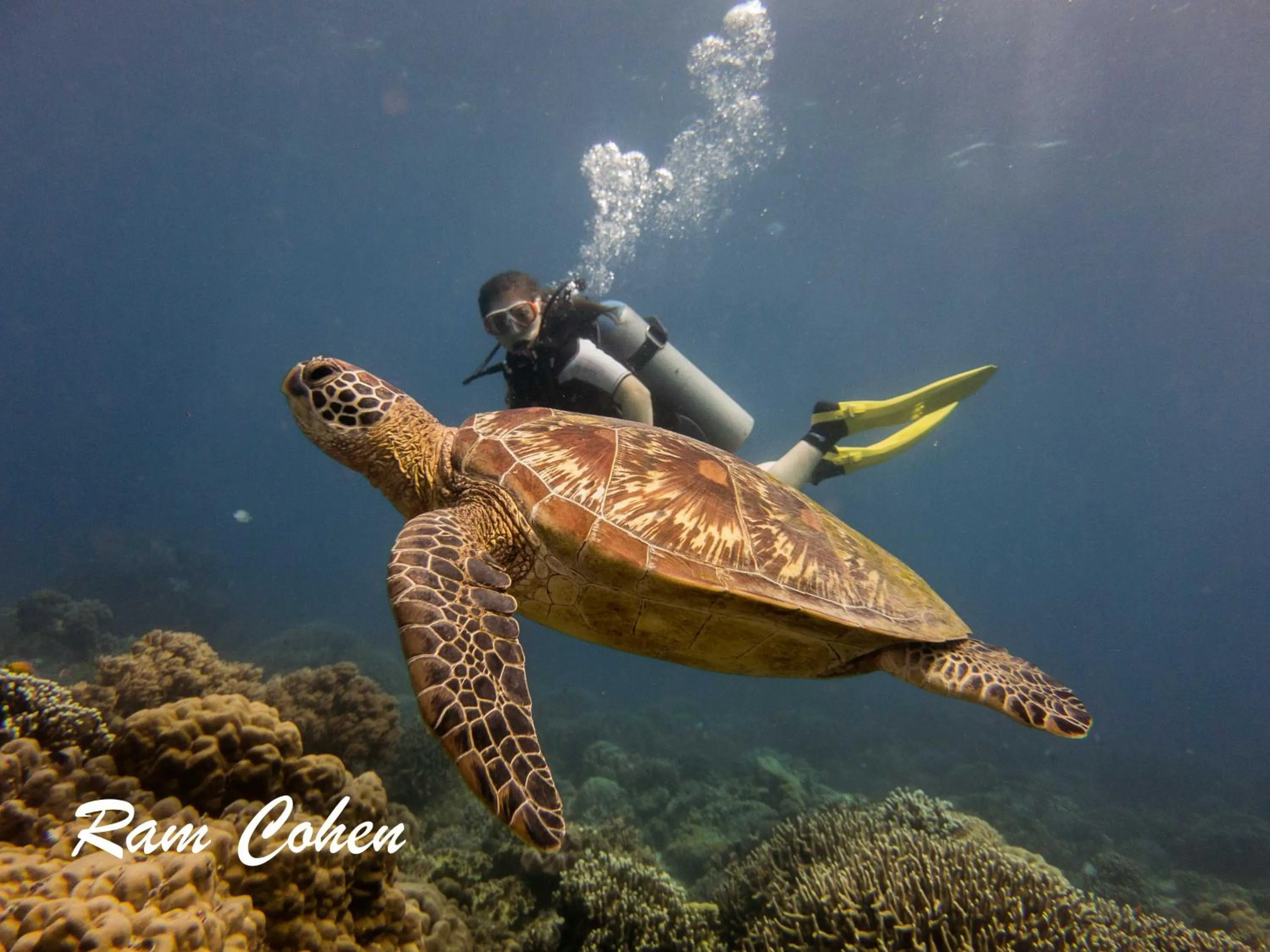 Activities in Lavanya Beach And Dive Resort