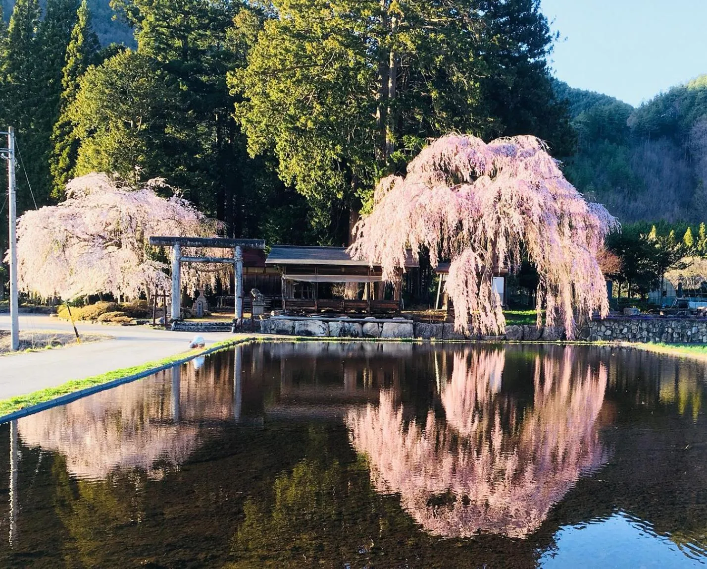 Spring in Hida Takayama Hotel Viera Resort (Adult Only)
