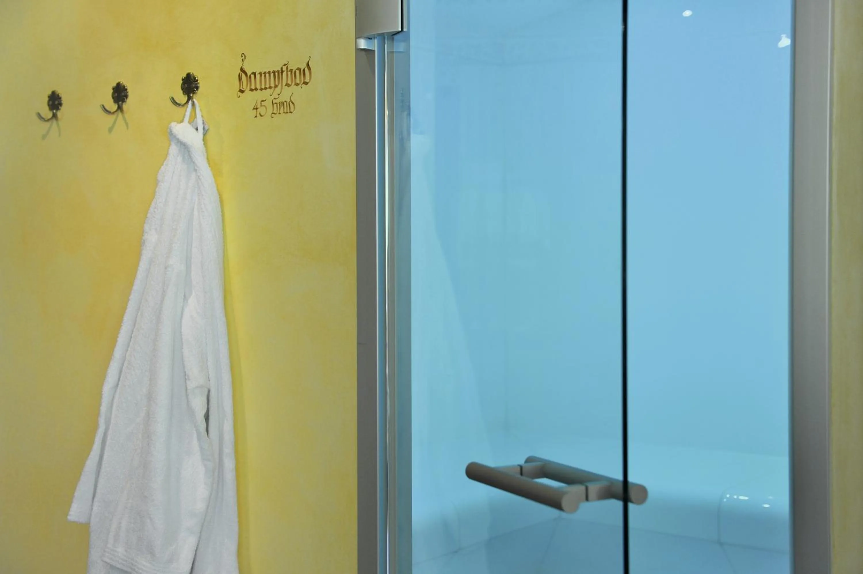 Steam room in Familienhotel Moos-Alm