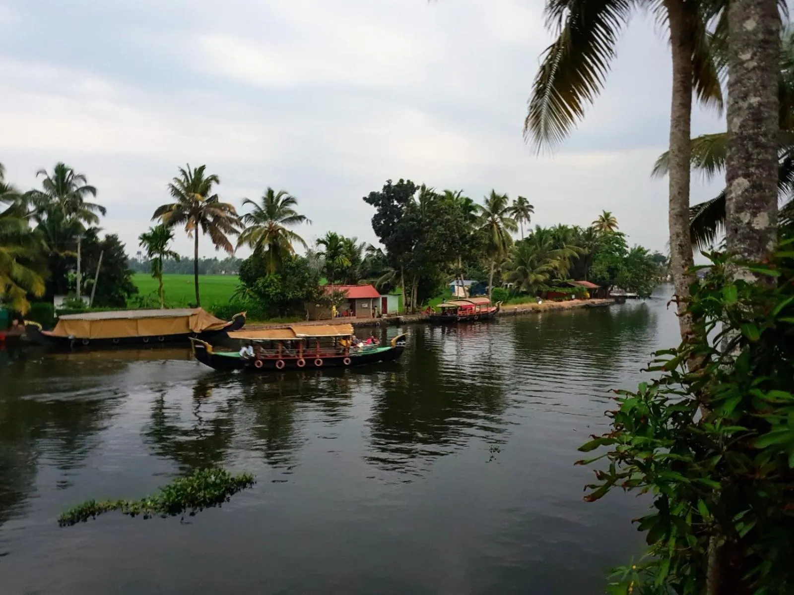 The Lake Paradise Boutique Resort