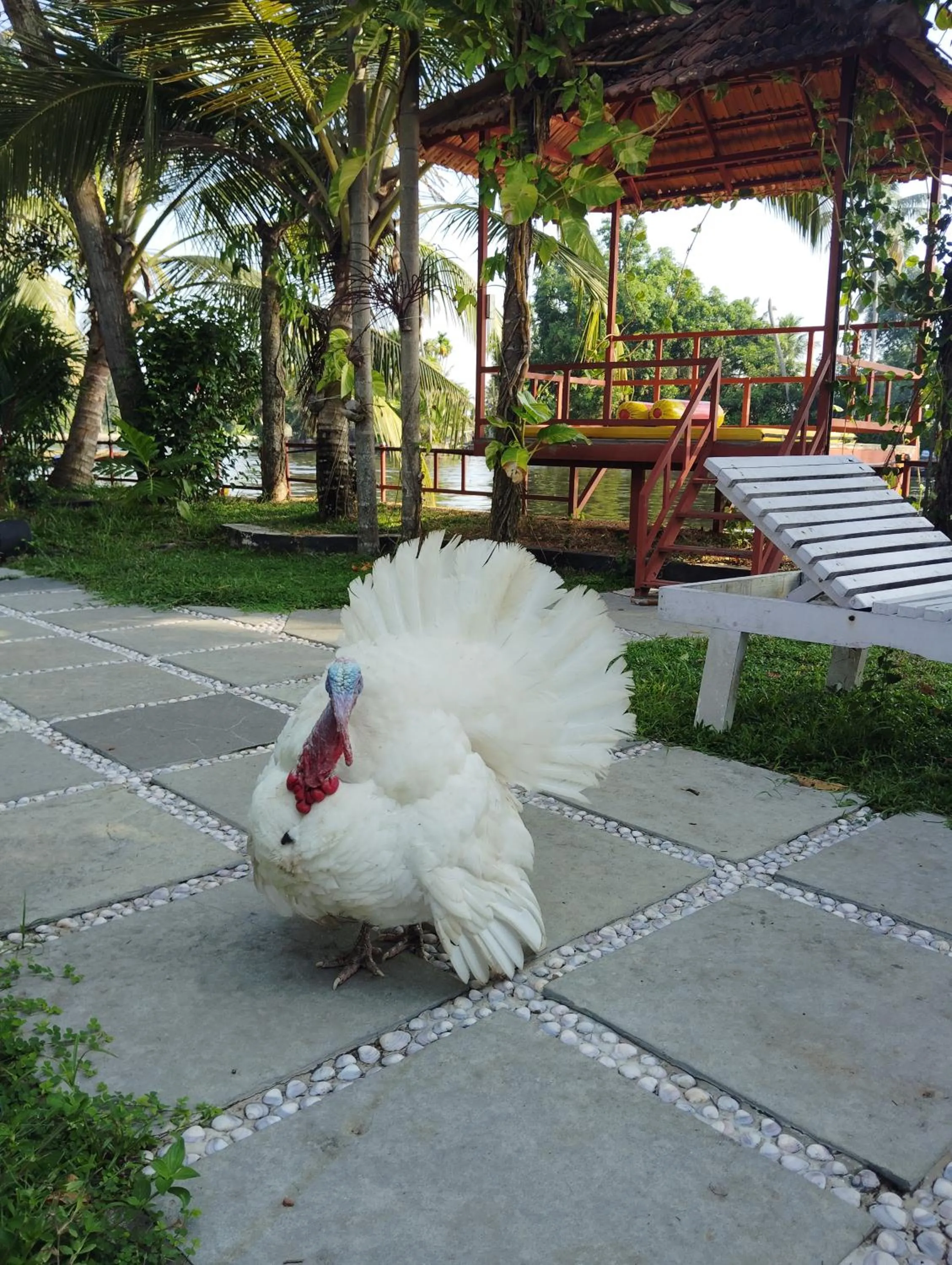 The Lake Paradise Boutique Resort