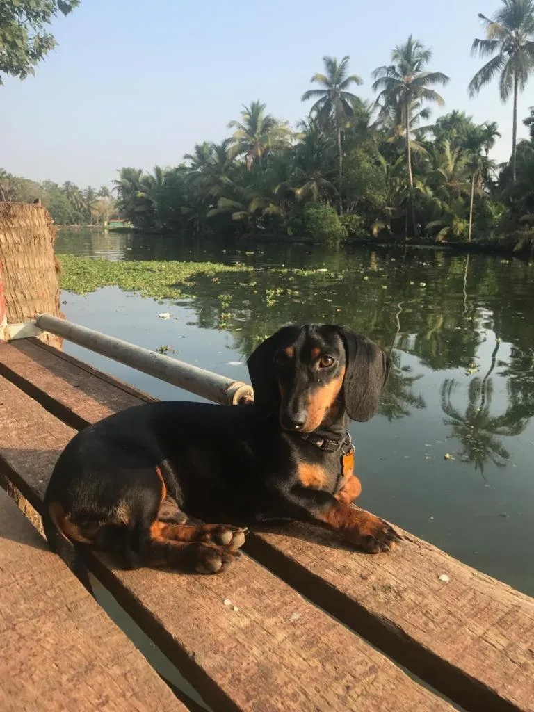 The Lake Paradise Boutique Resort