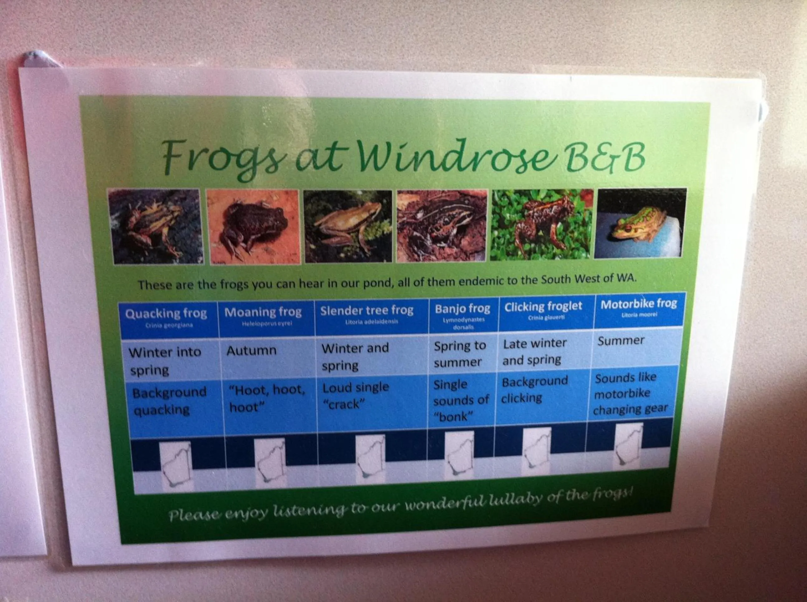 Decorative detail in Windrose B&B